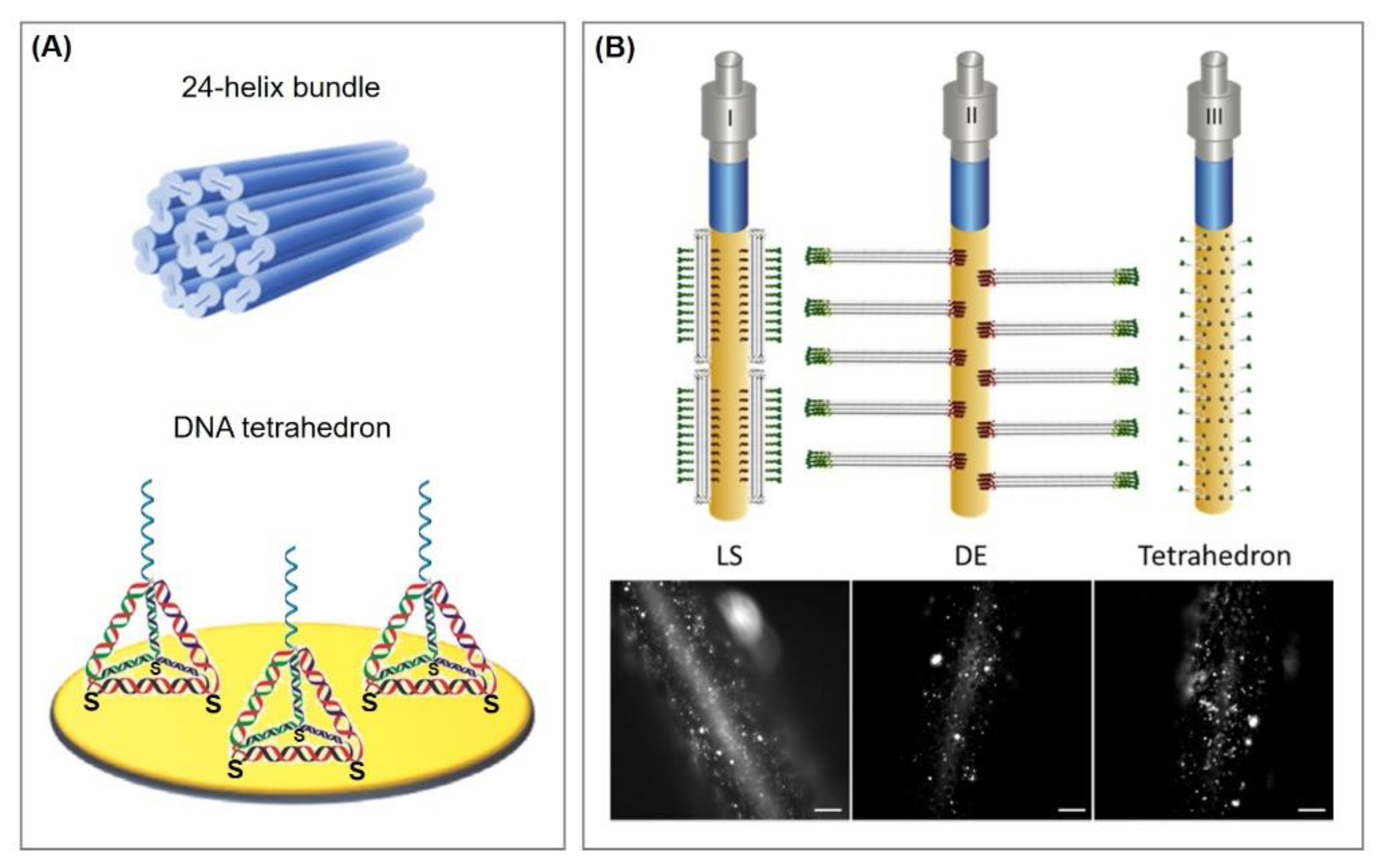 Biosensors 10 00045 g021 Biosensors 10 00045 g021