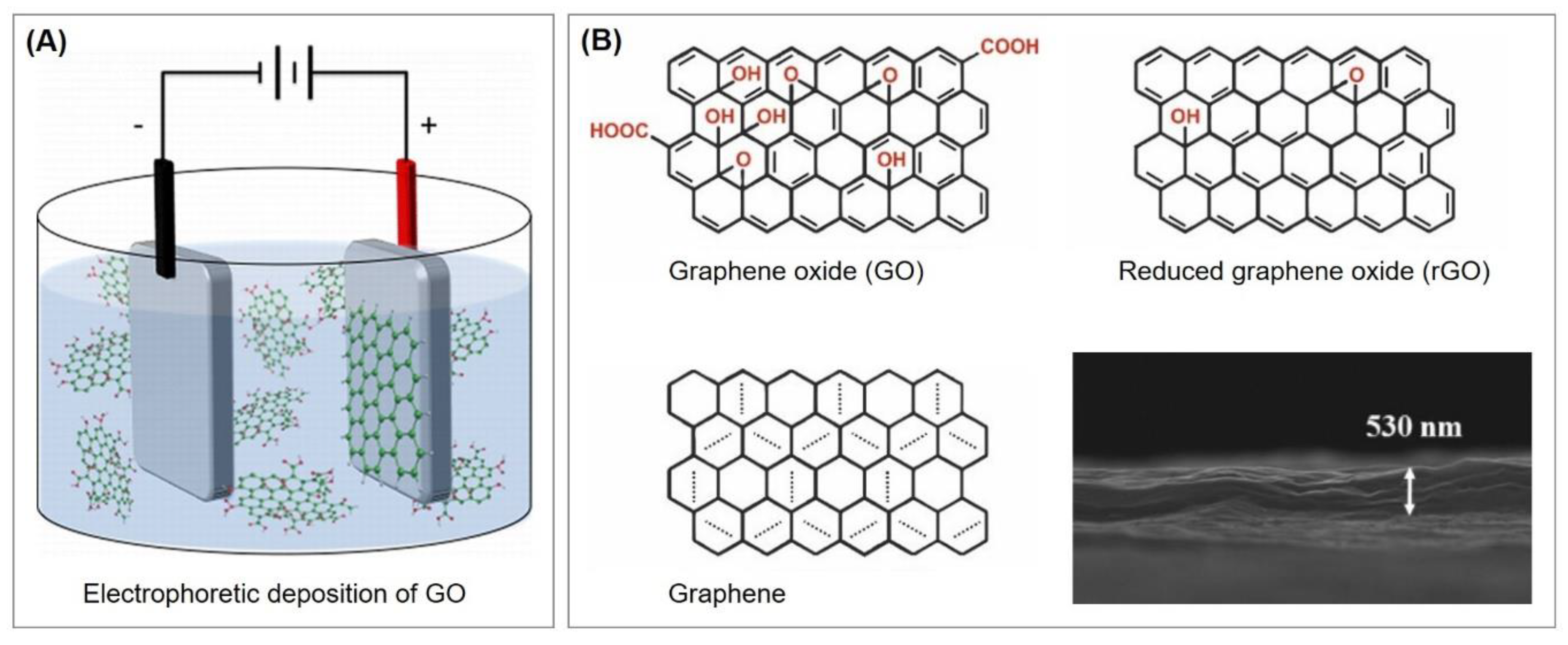 Biosensors 10 00045 g022 Biosensors 10 00045 g022