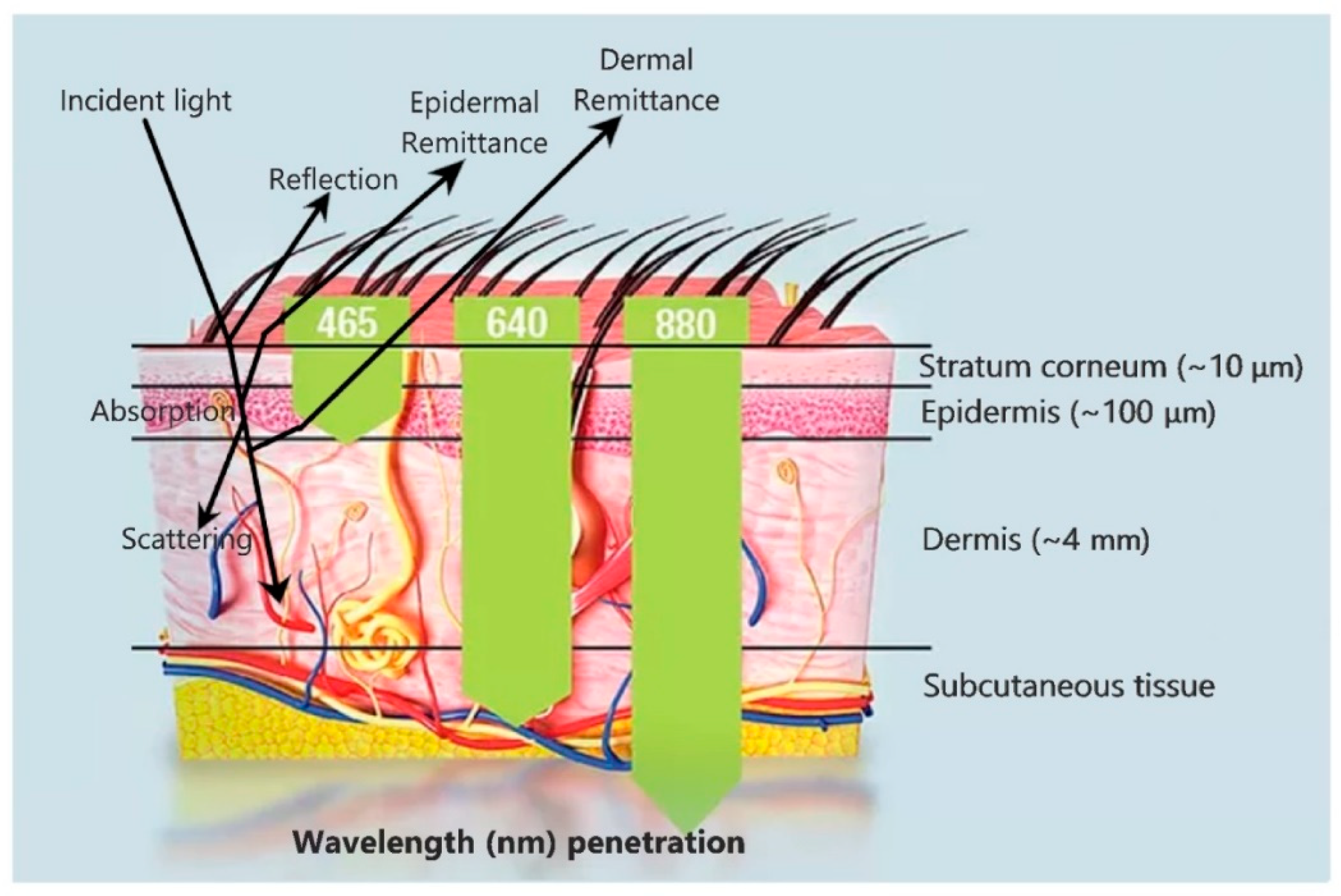 Biosensors Free Full-Text Wearable Skin Sensors and Their Challenges: A Review o