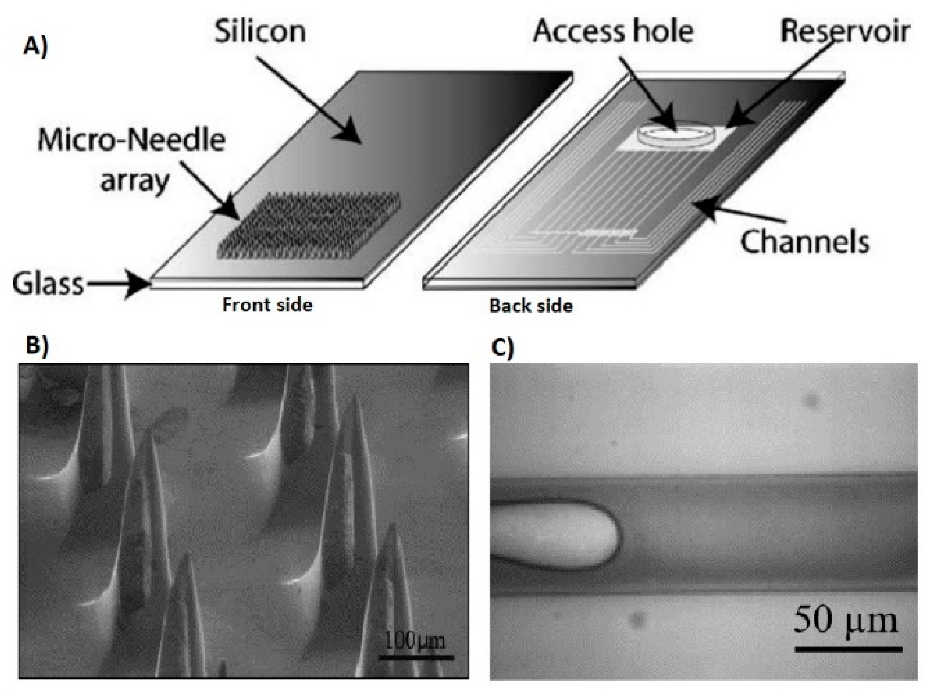 Biosensors 10 00056 g005