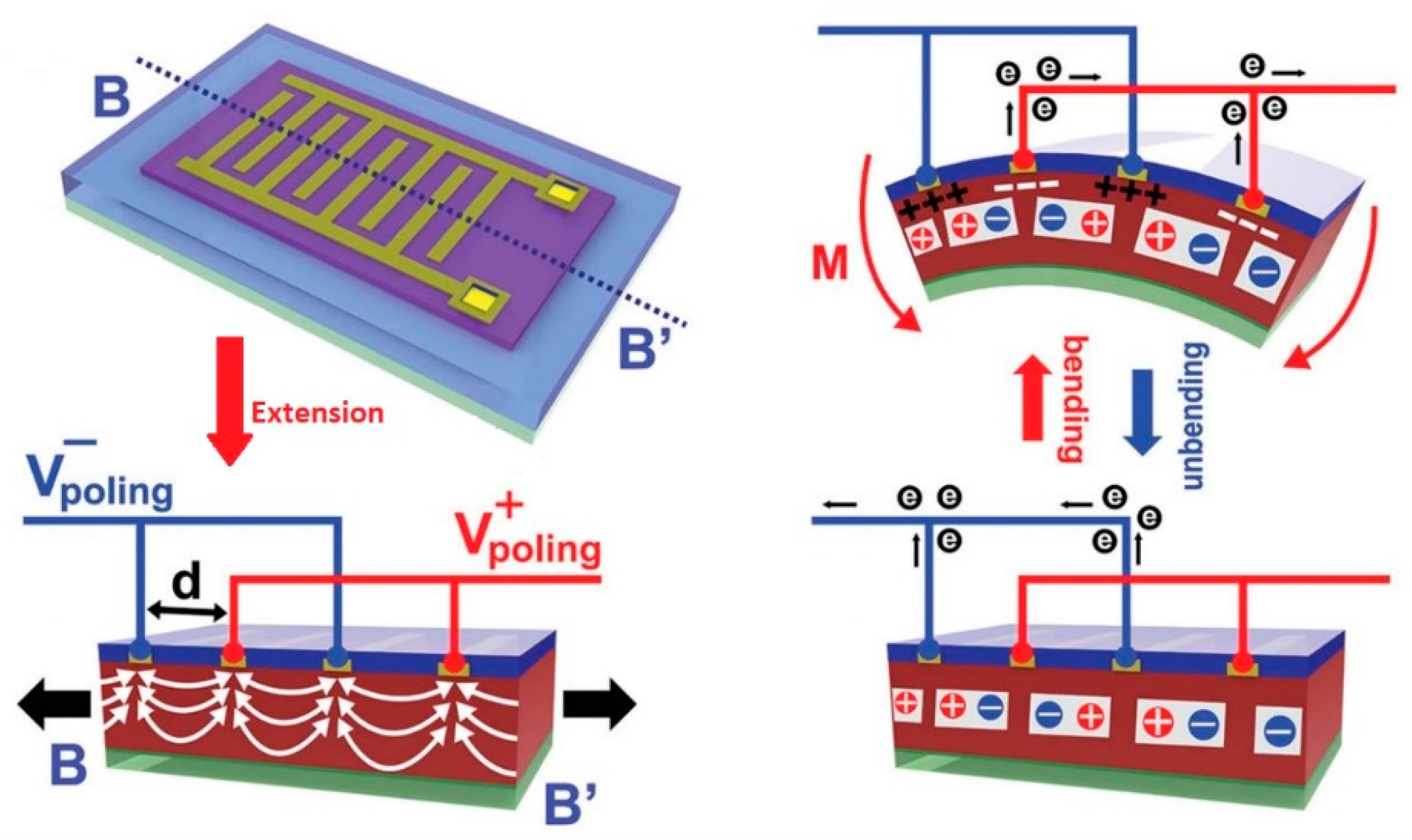 Biosensors 10 00056 g007