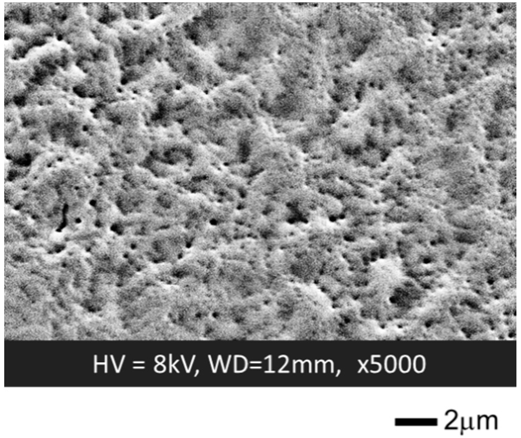 Biosensors 10 00057 g005