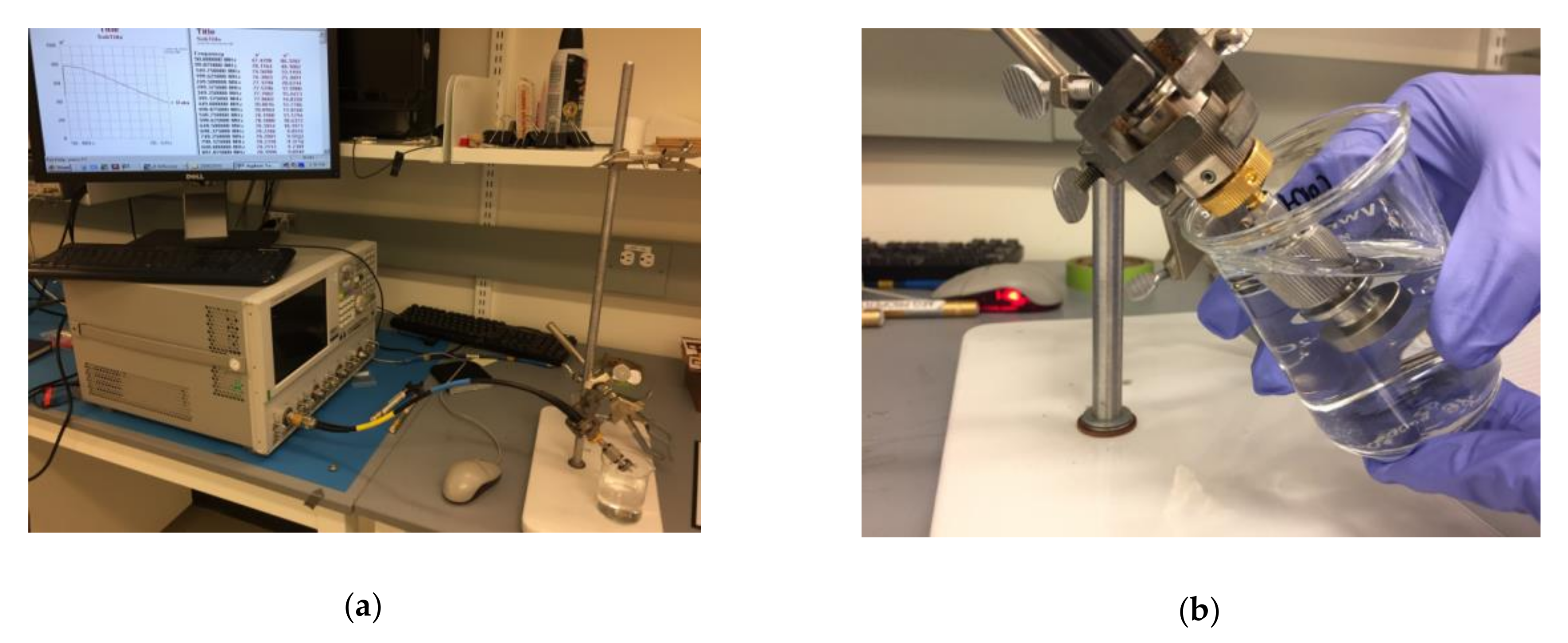 Biosensors 10 00062 g001 Biosensors 10 00062 g001