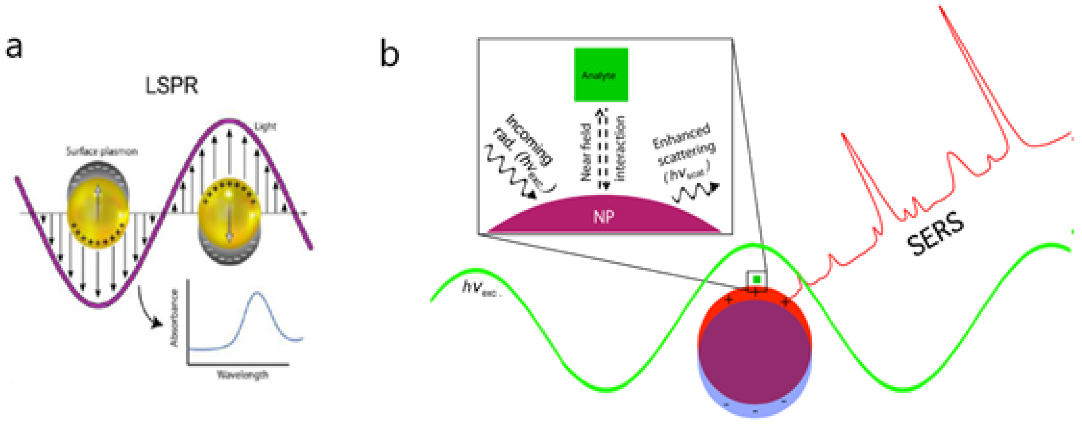 Biosensors 10 00063 g002 Biosensors 10 00063 g002