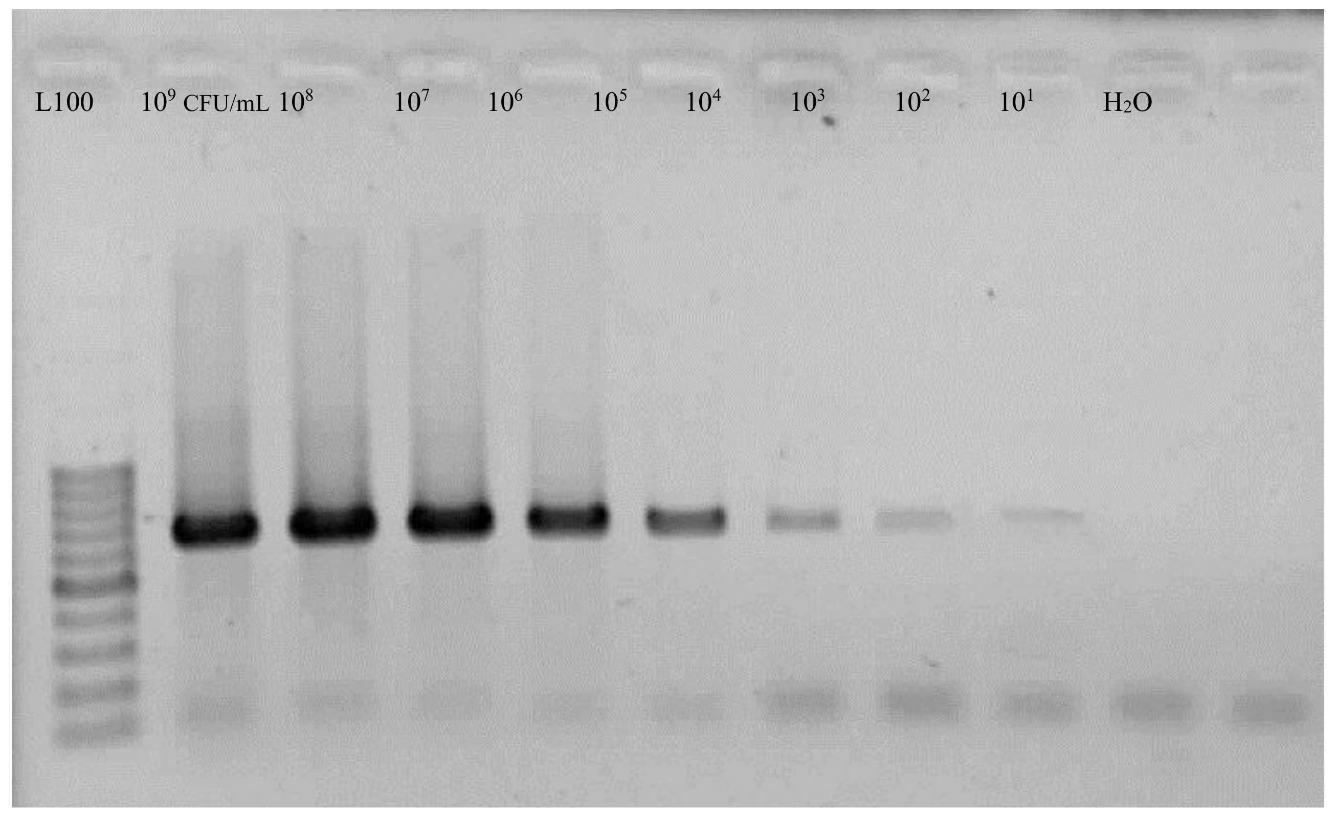 Biosensors 10 00064 g003 Biosensors 10 00064 g003