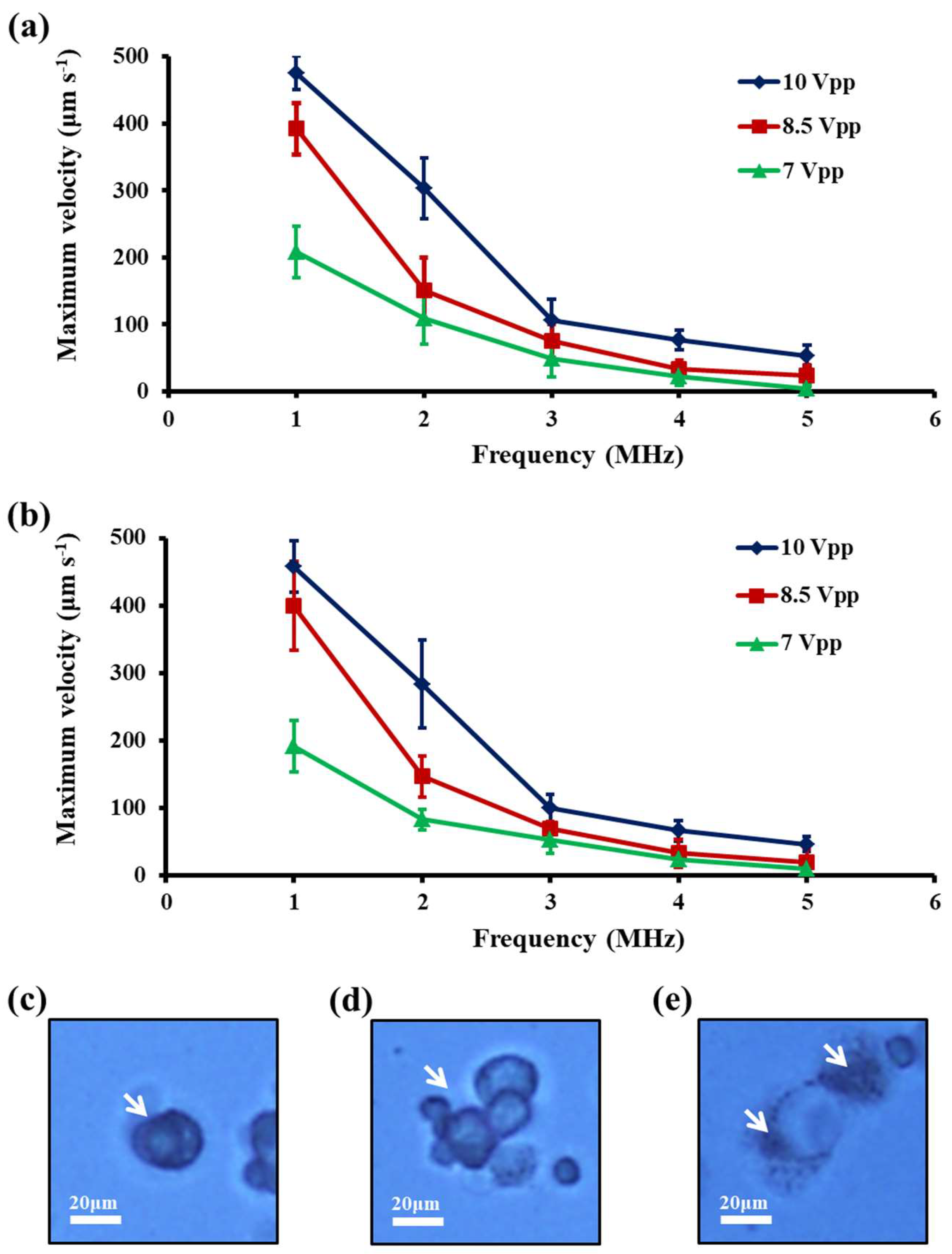 Biosensors 10 00065 g002 Biosensors 10 00065 g002