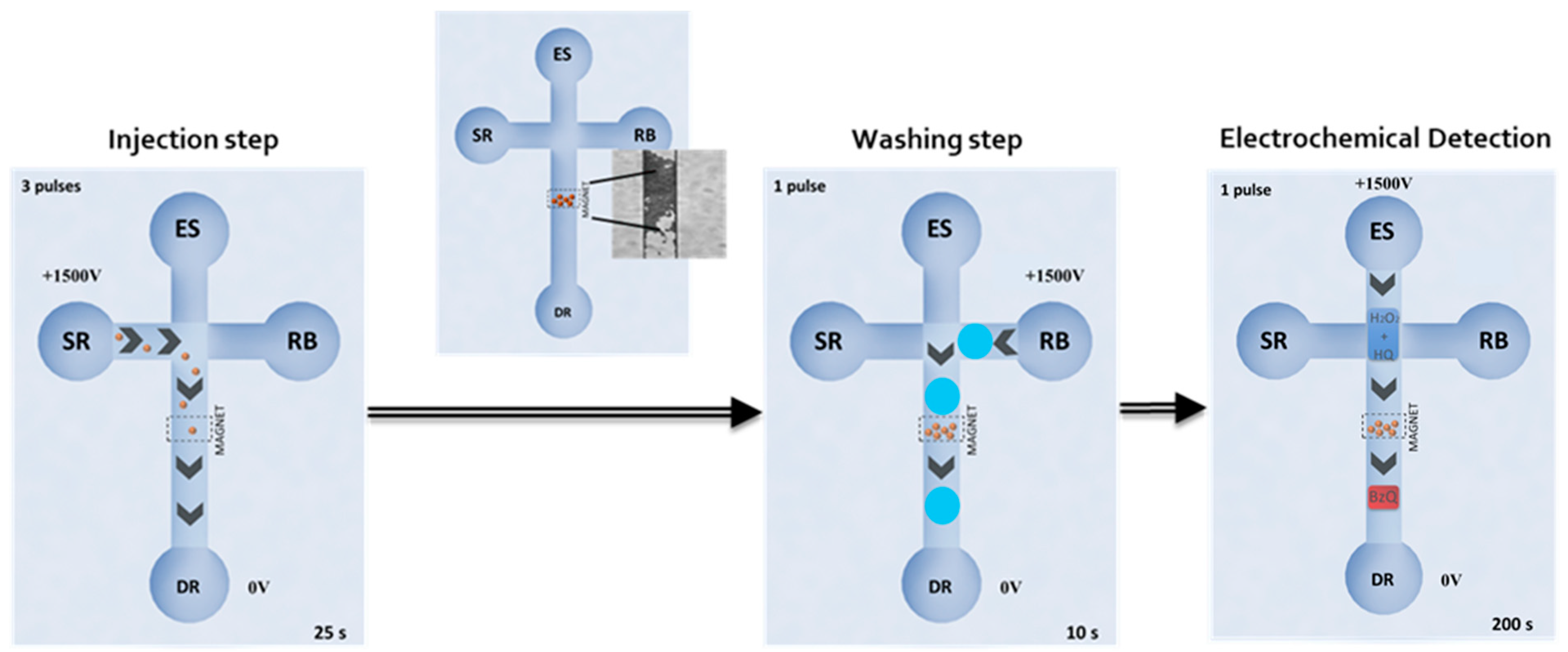 Biosensors 10 00066 g002