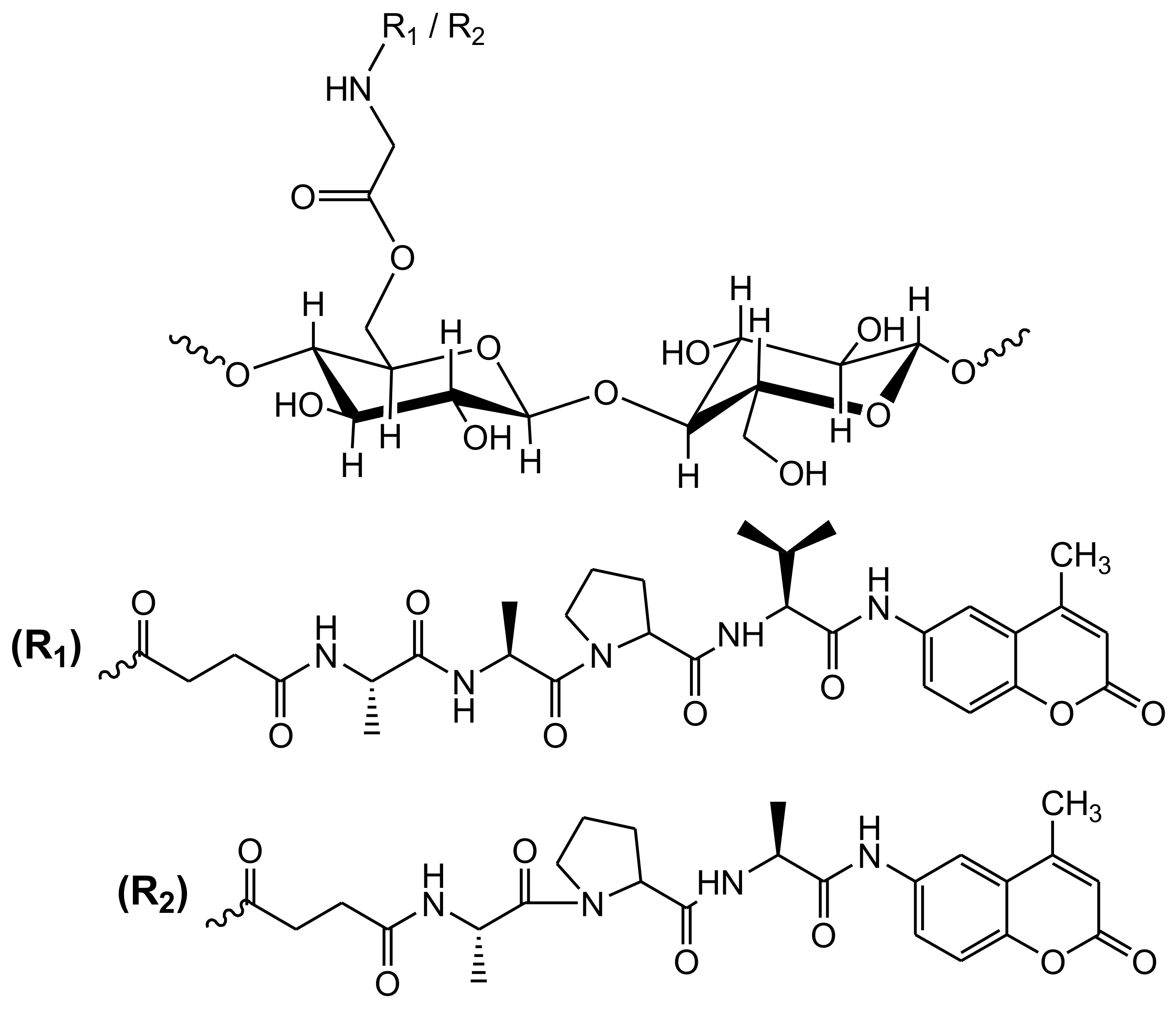 Biosensors 10 00067 g004 Biosensors 10 00067 g004
