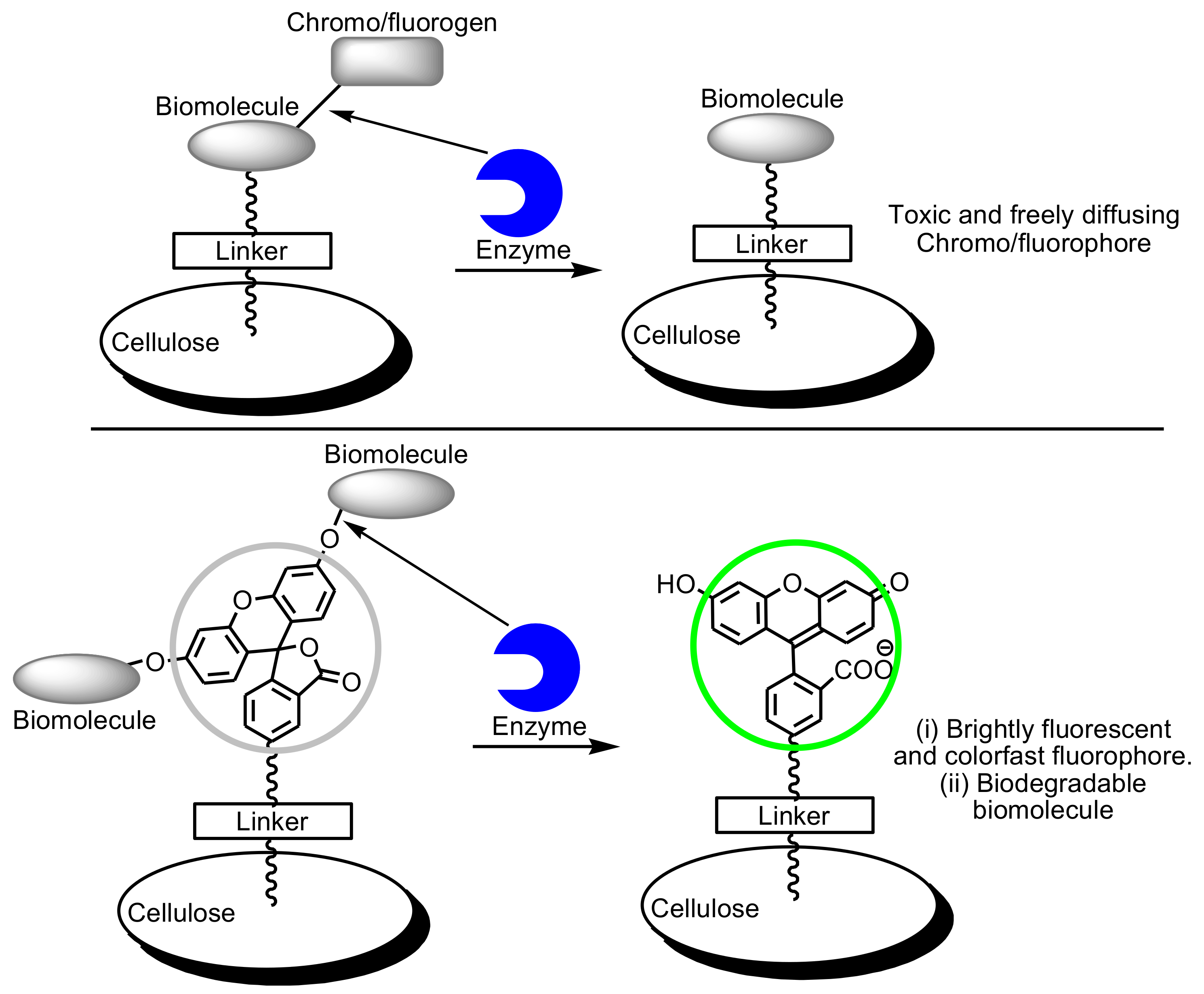 Biosensors 10 00067 g005 Biosensors 10 00067 g005