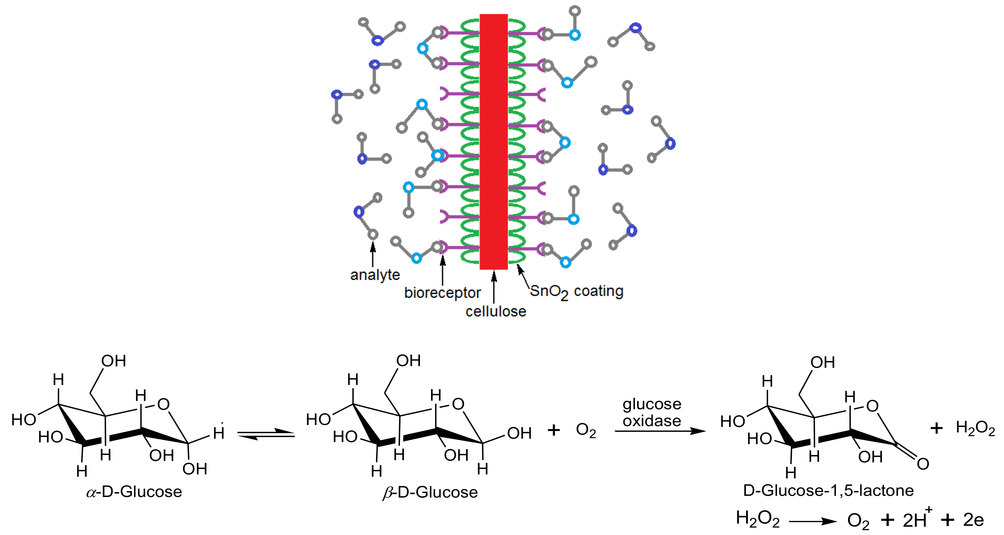 Biosensors 10 00067 g011 Biosensors 10 00067 g011