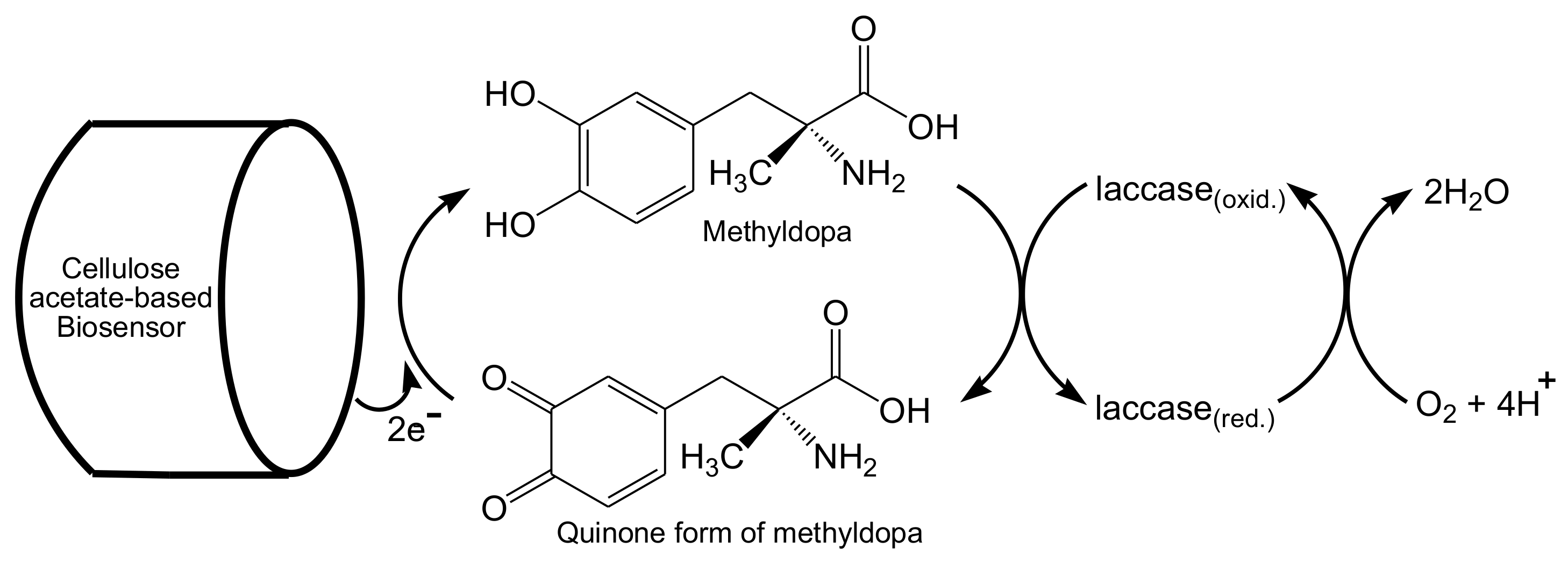 Biosensors 10 00067 g012 Biosensors 10 00067 g012