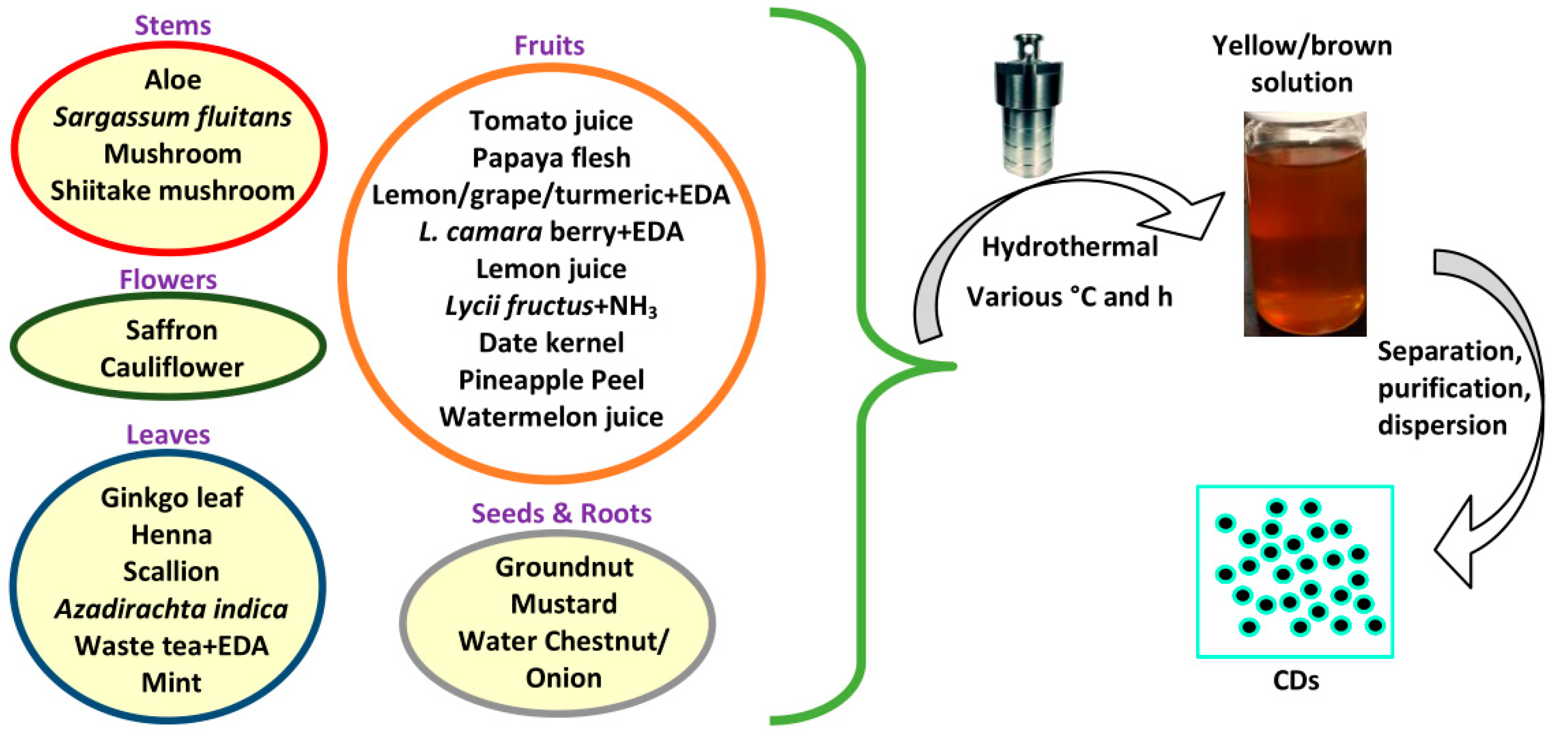Biosensors 10 00068 g002