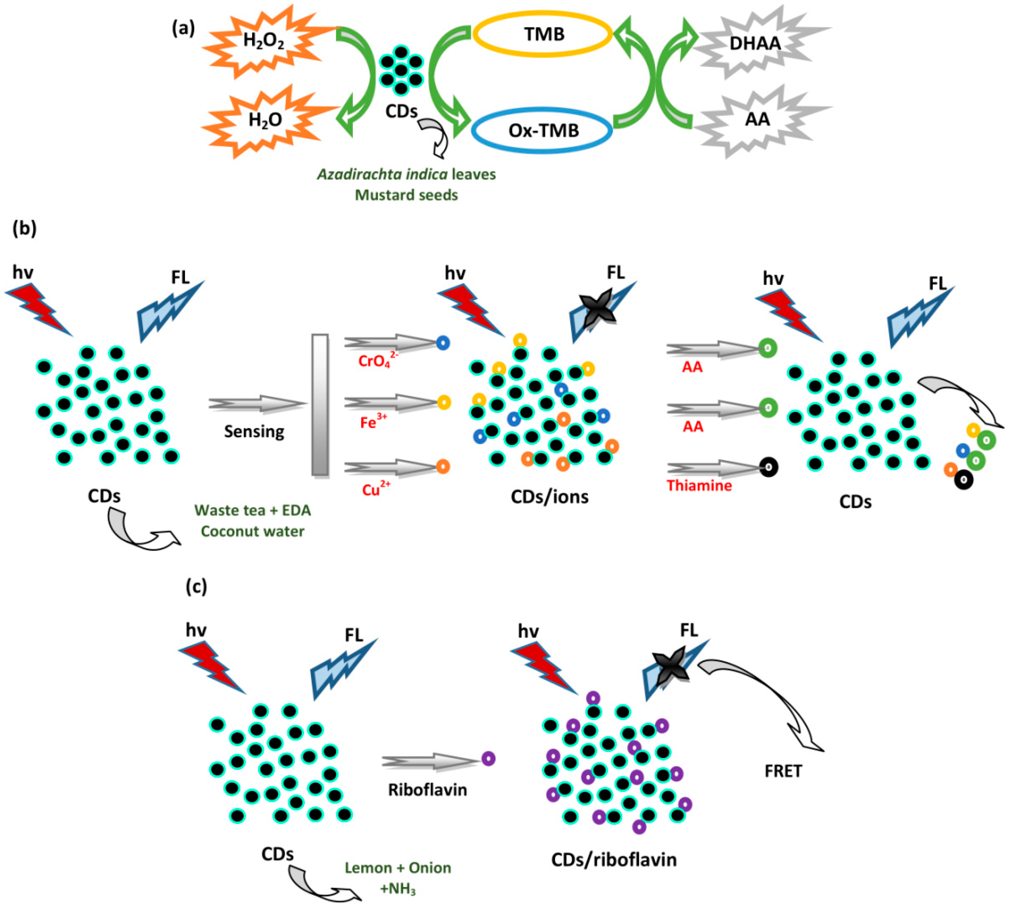 Biosensors 10 00068 g007