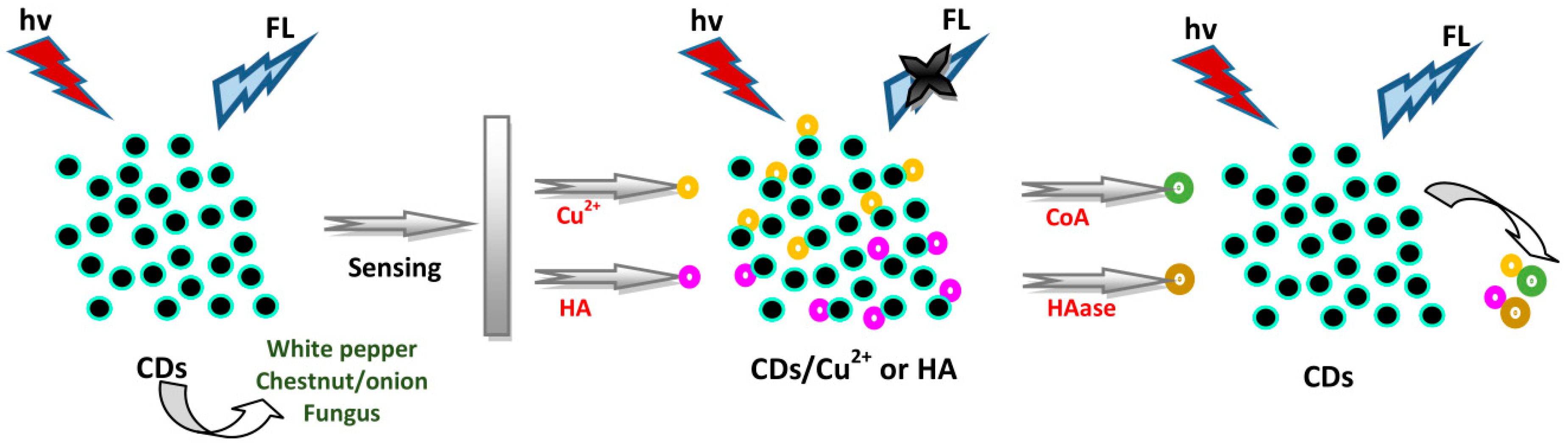 Biosensors 10 00068 g008