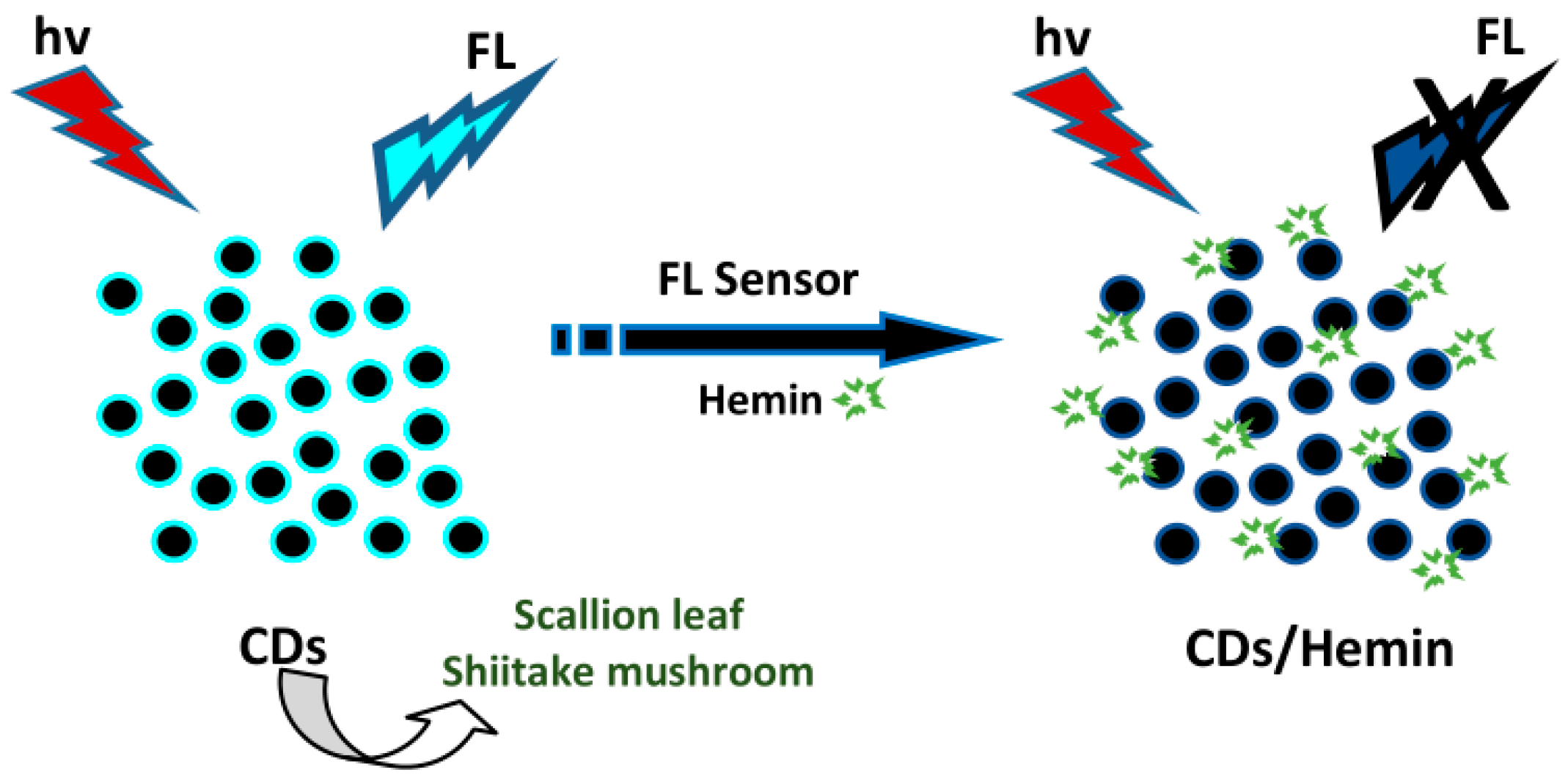 Biosensors 10 00068 g010