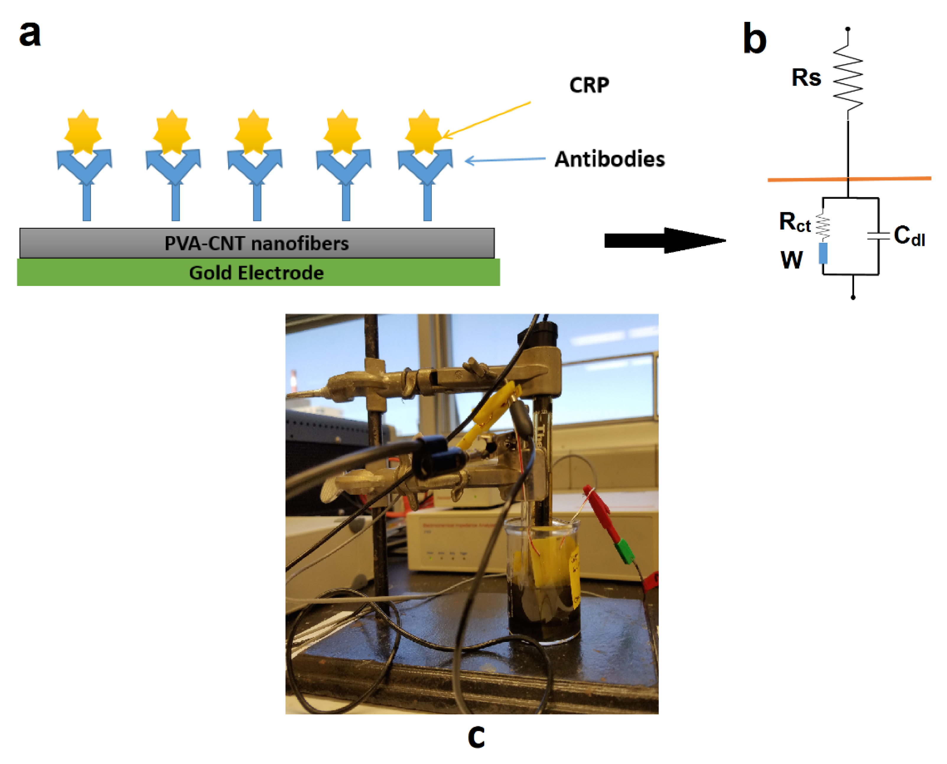 Biosensors 10 00072 g002