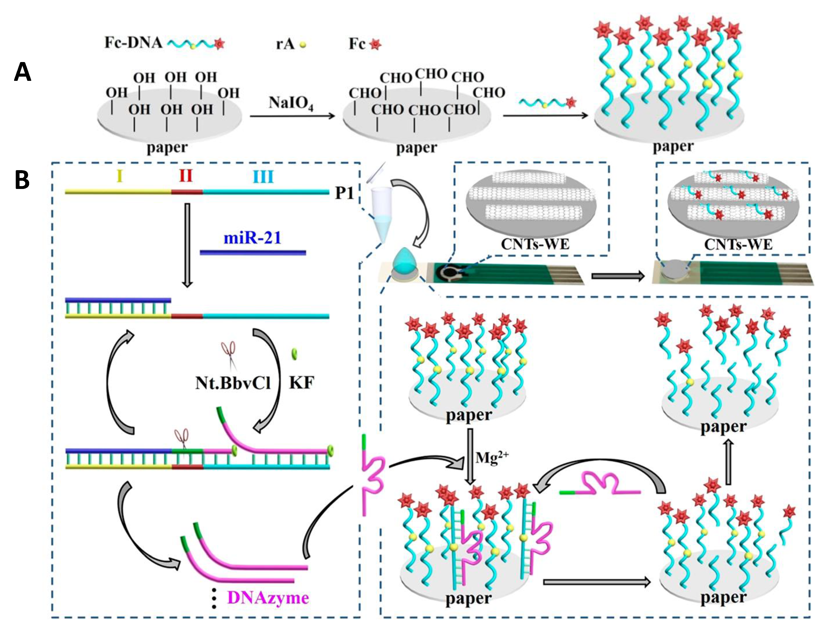 Biosensors 10 00076 g006 Biosensors 10 00076 g006