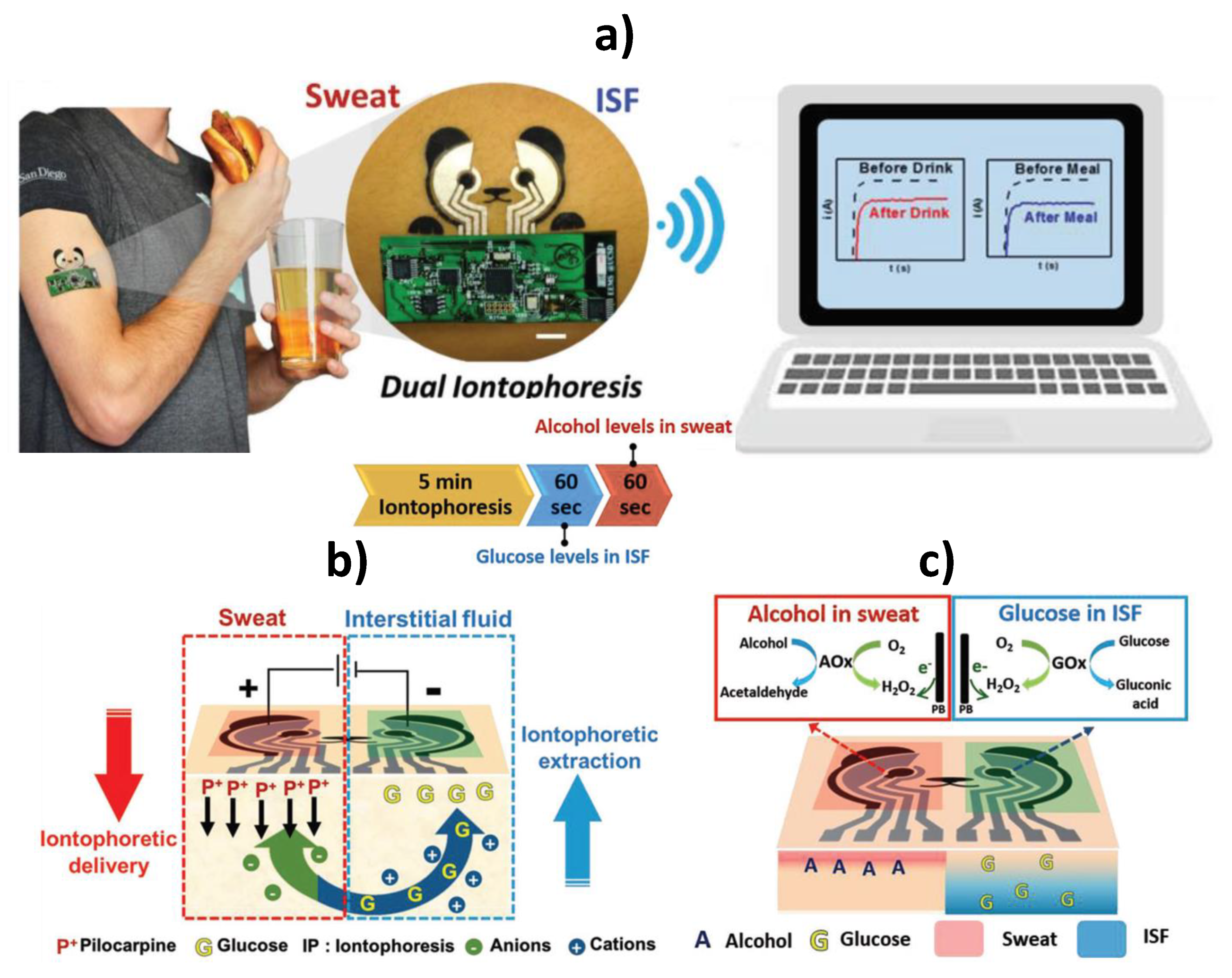 Biosensors 10 00076 g009 Biosensors 10 00076 g009