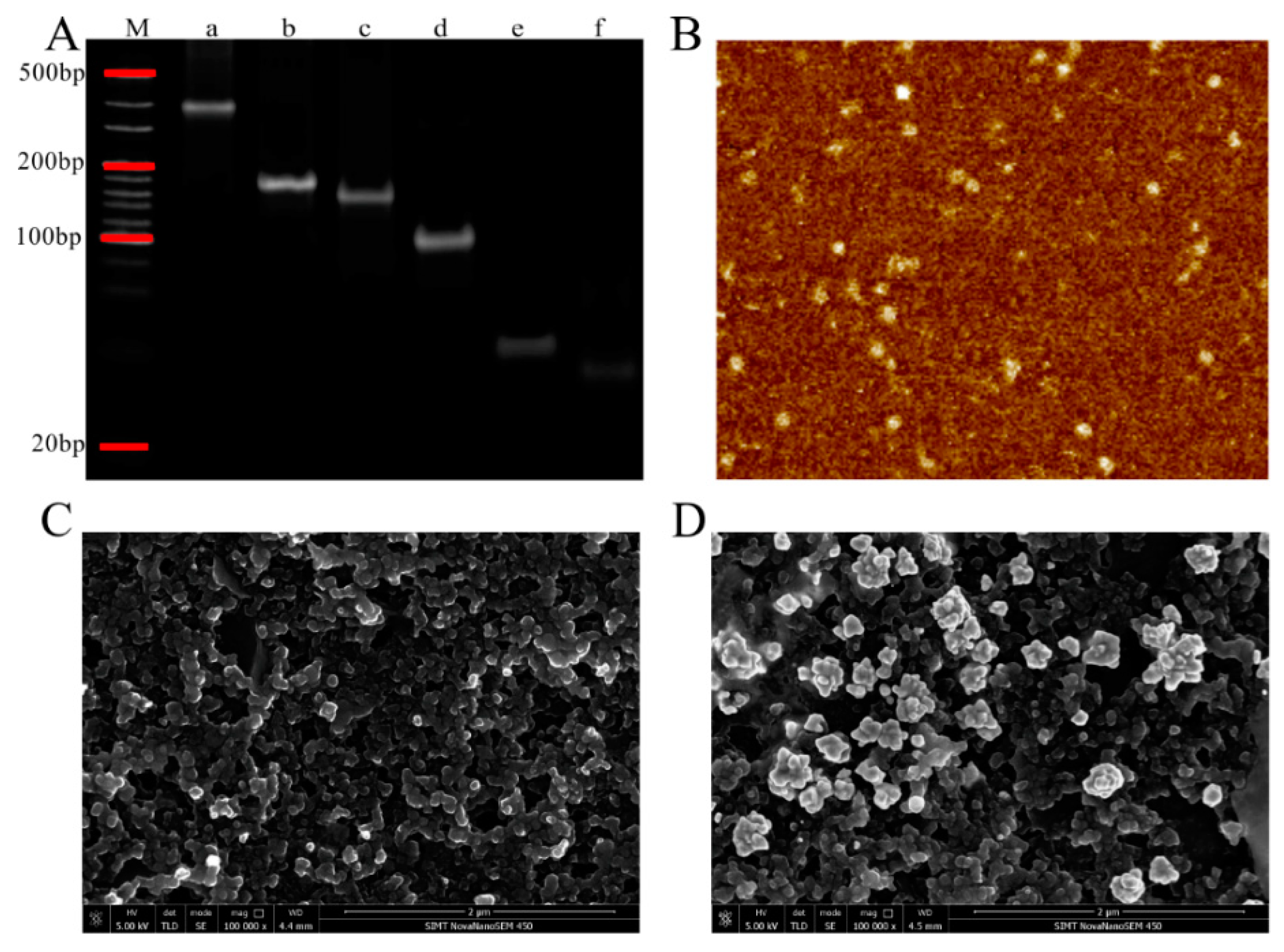 Biosensors 10 00078 g002