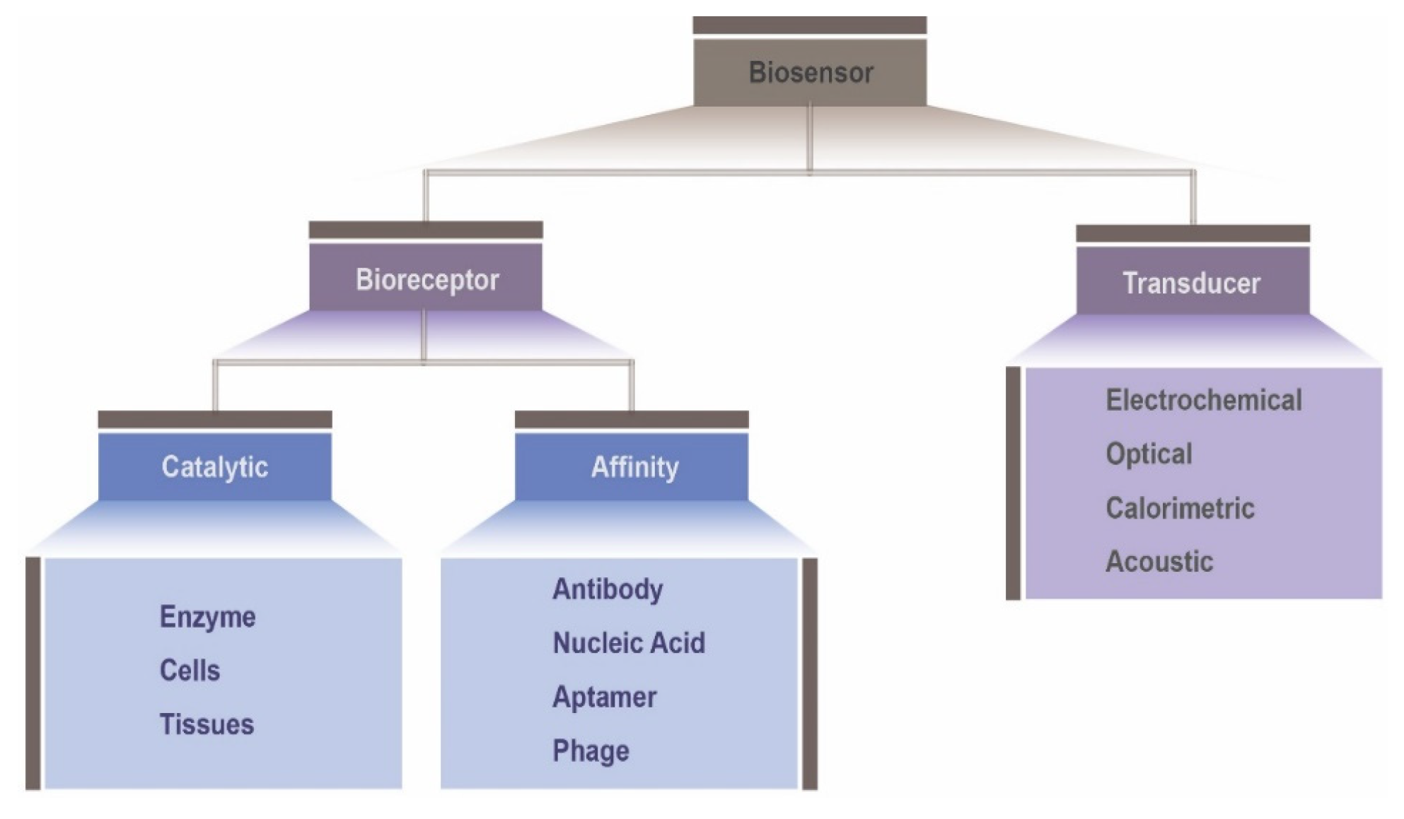 Biosensors 10 00079 g001