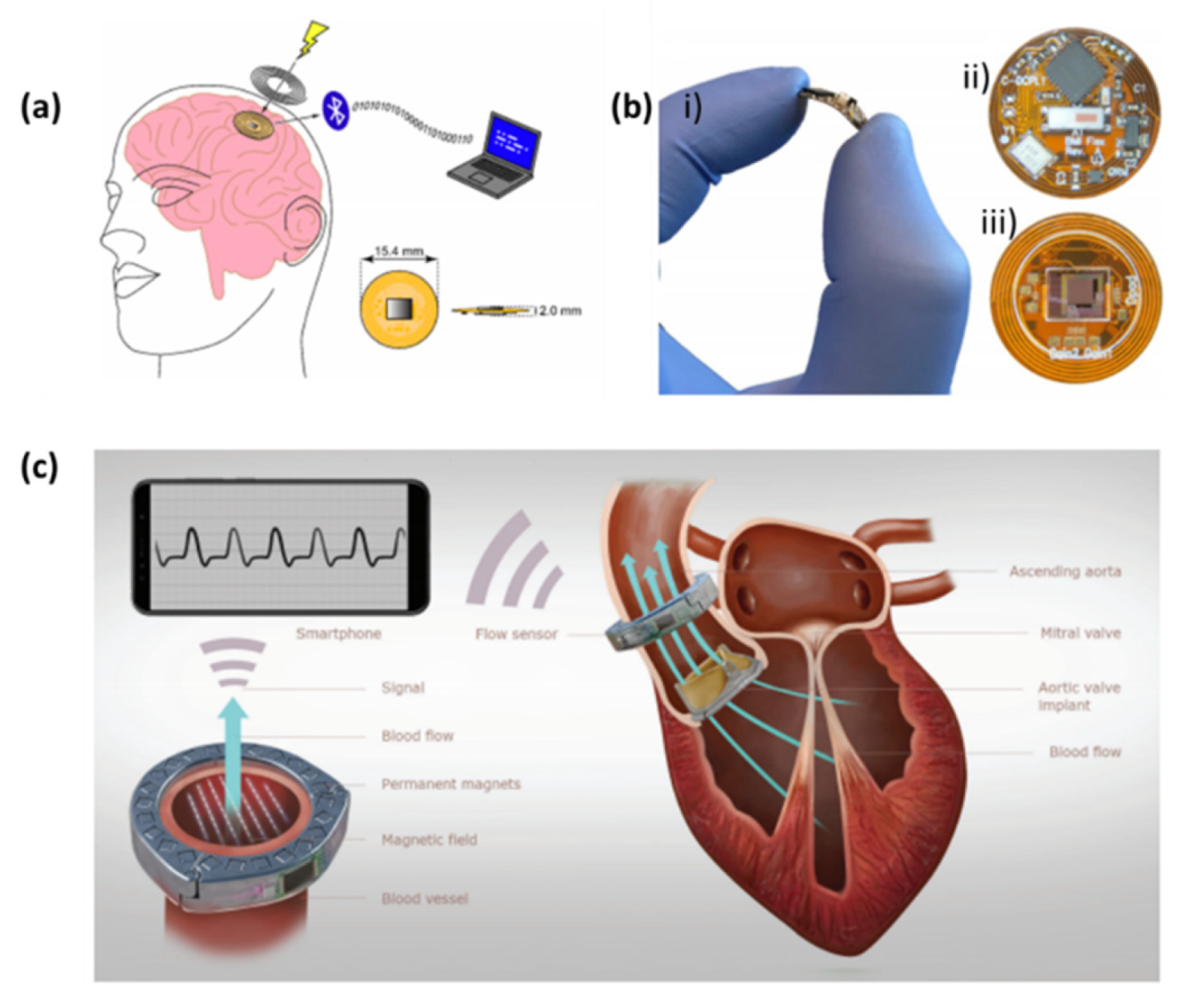 Biosensors 10 00079 g007