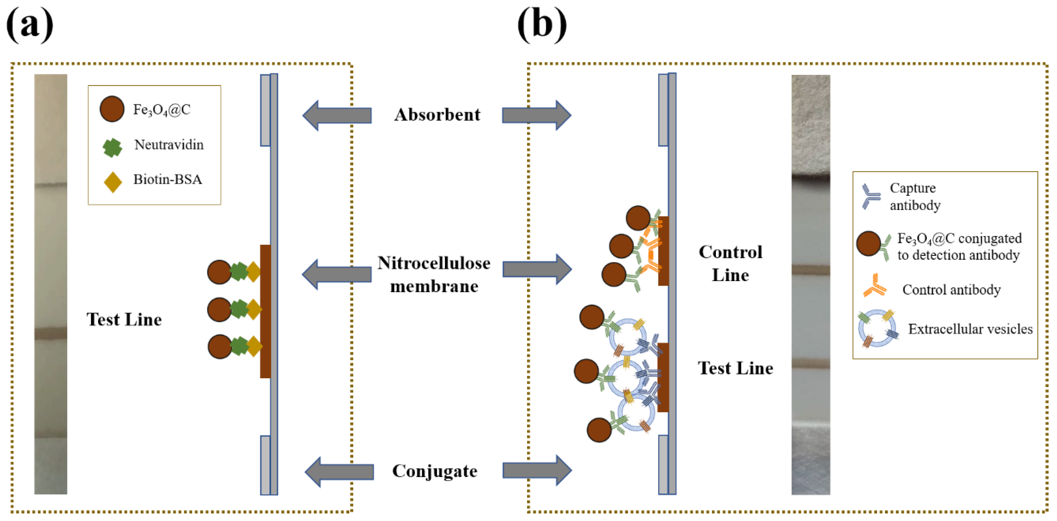 Biosensors 10 00080 g004 Biosensors 10 00080 g004