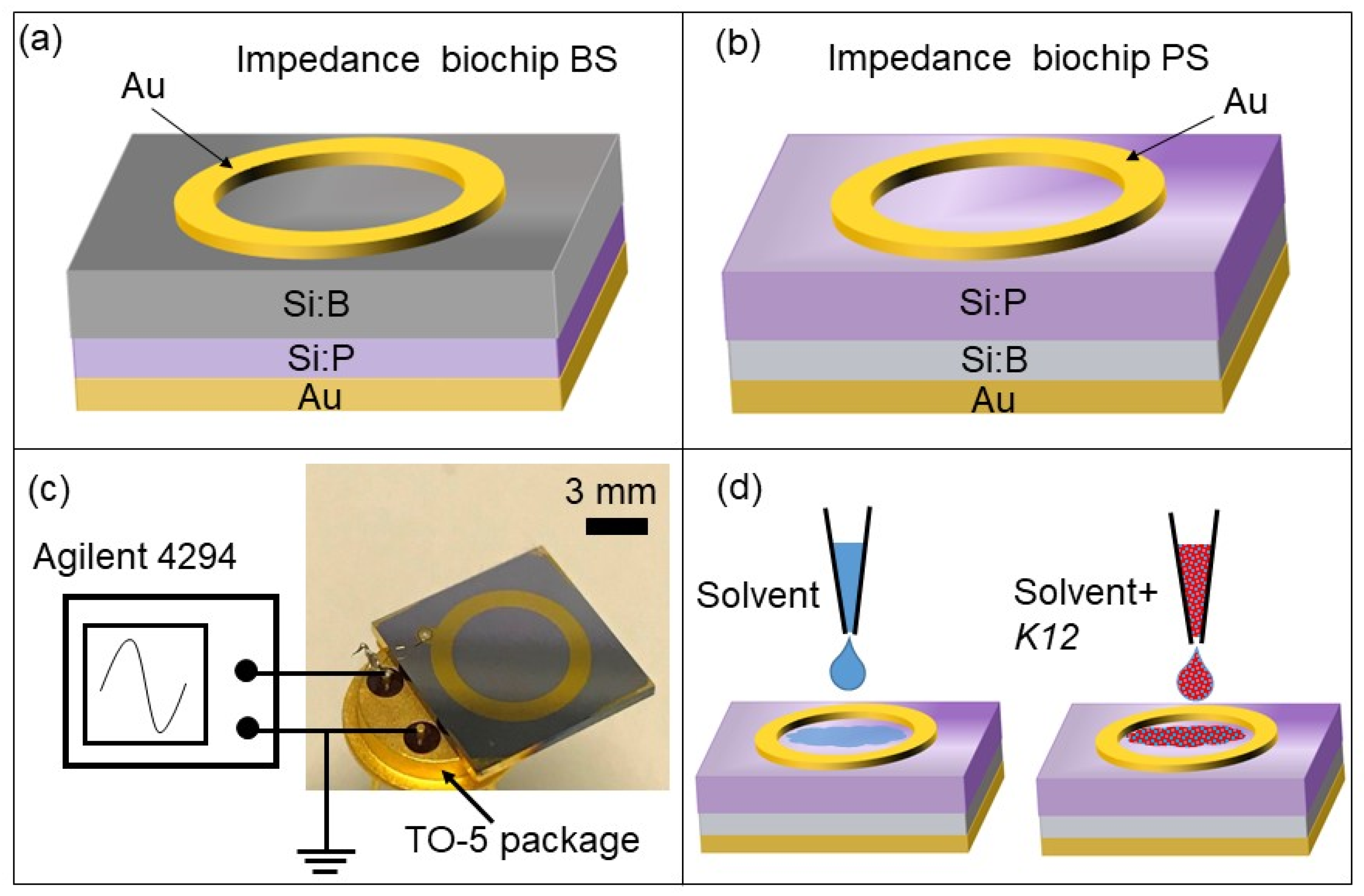 Biosensors 10 00082 g002