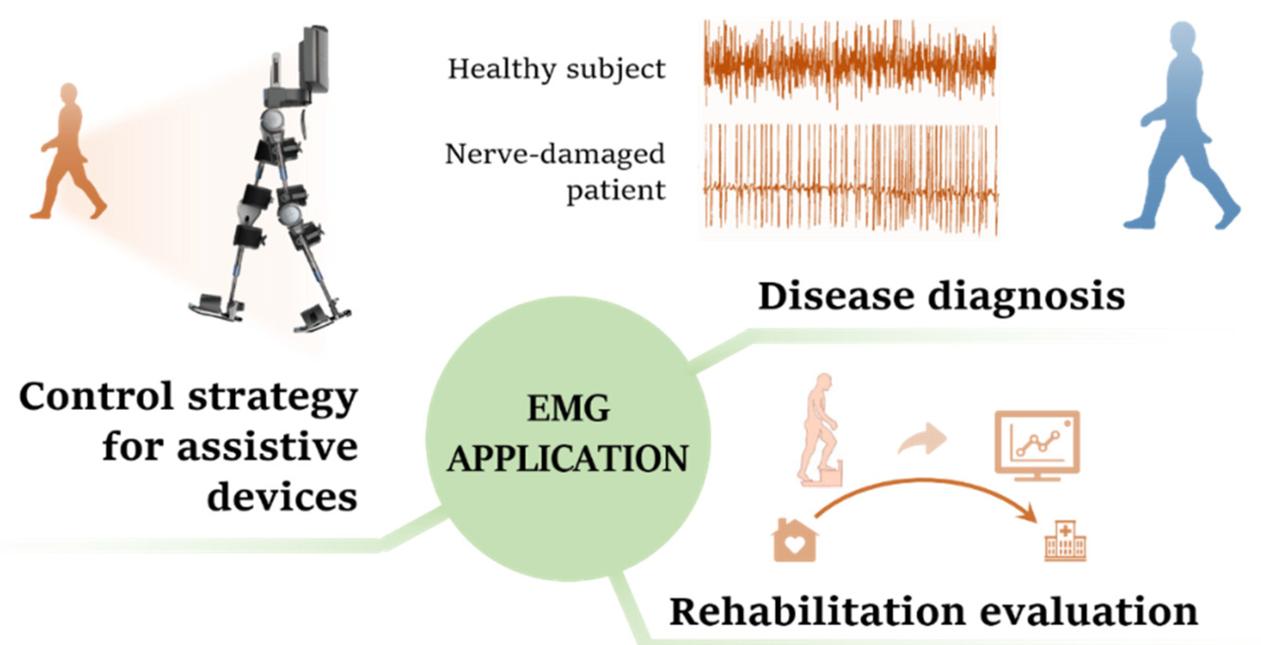 PDF) Specificity of surface EMG recordings for gastrocnemius during upright  standing