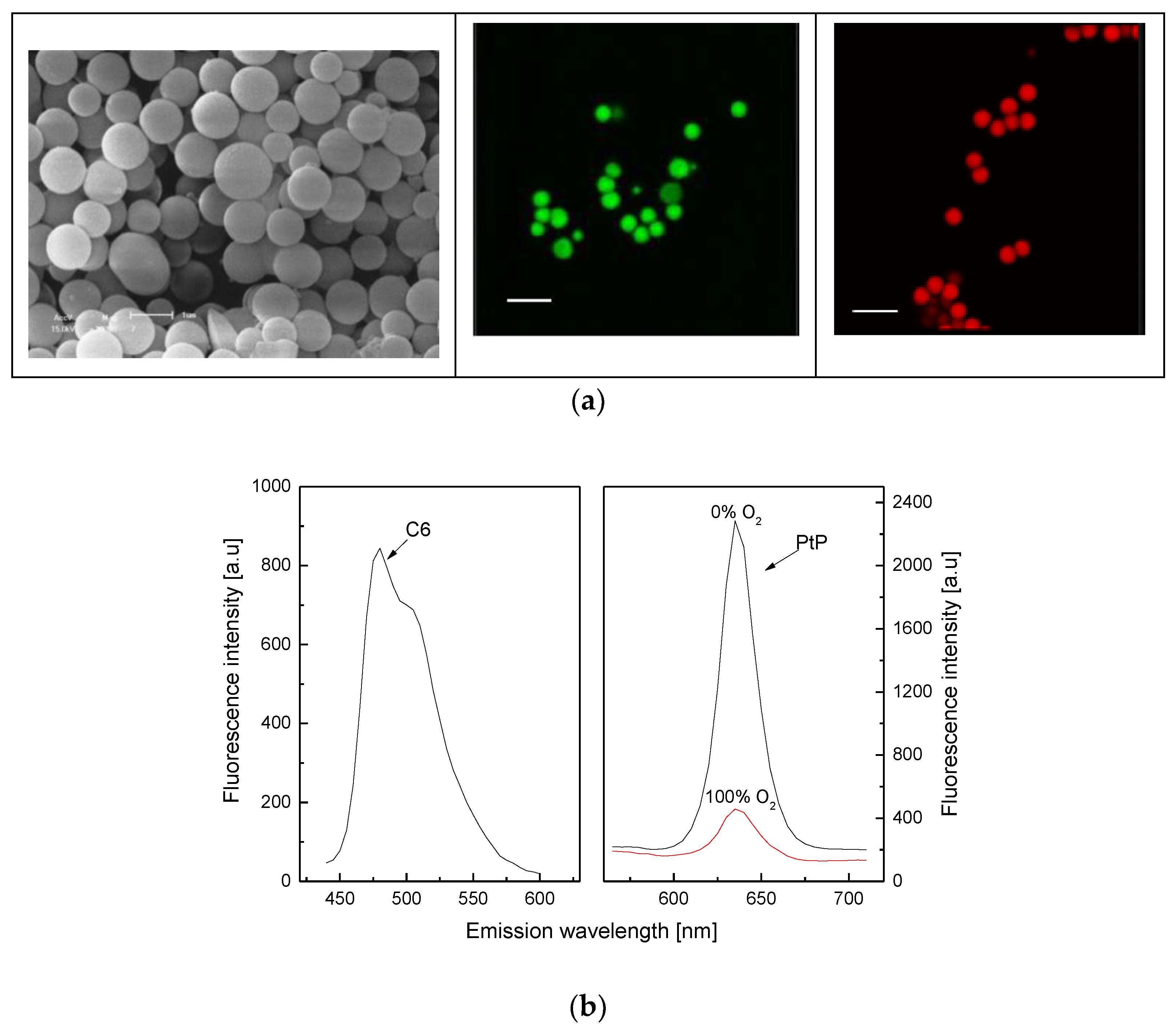 Biosensors 10 00086 g001