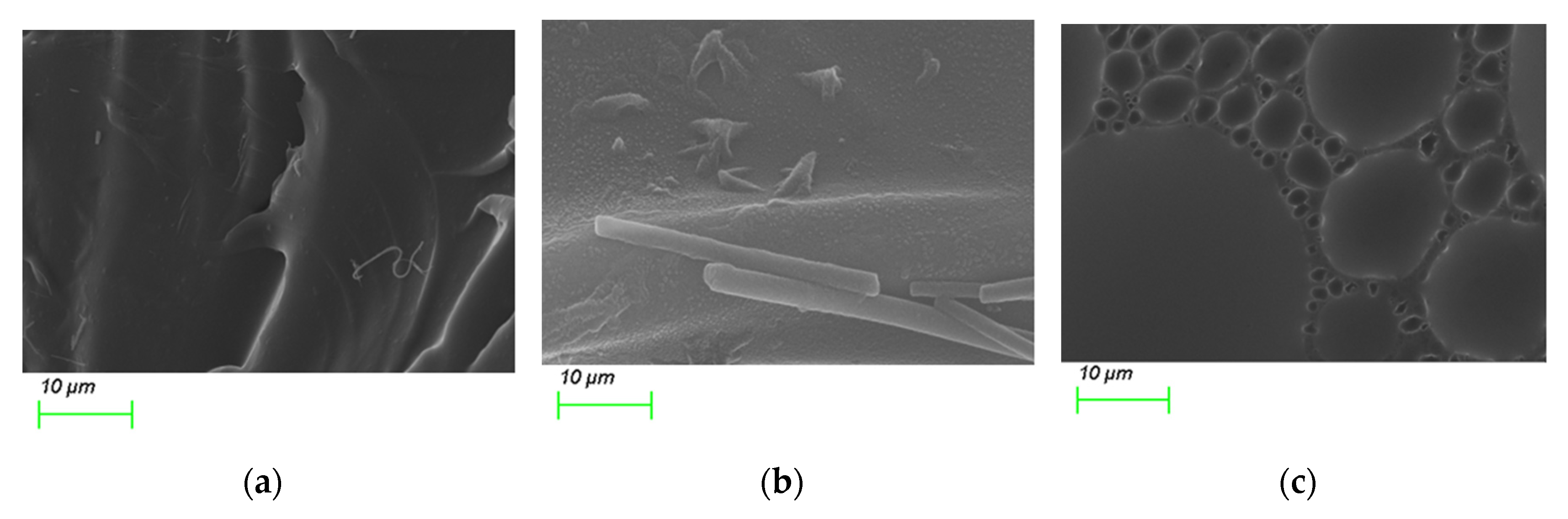Biosensors 10 00086 g003