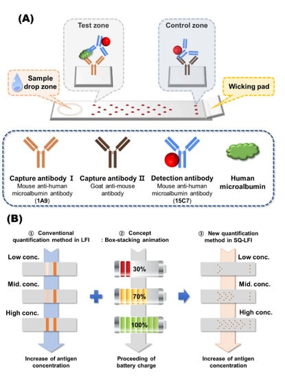 Biosensors | Free Full-Text | Instrumentation-Free Semiquantitative  Immunoanalysis Using a Specially Patterned Lateral Flow Assay Device
