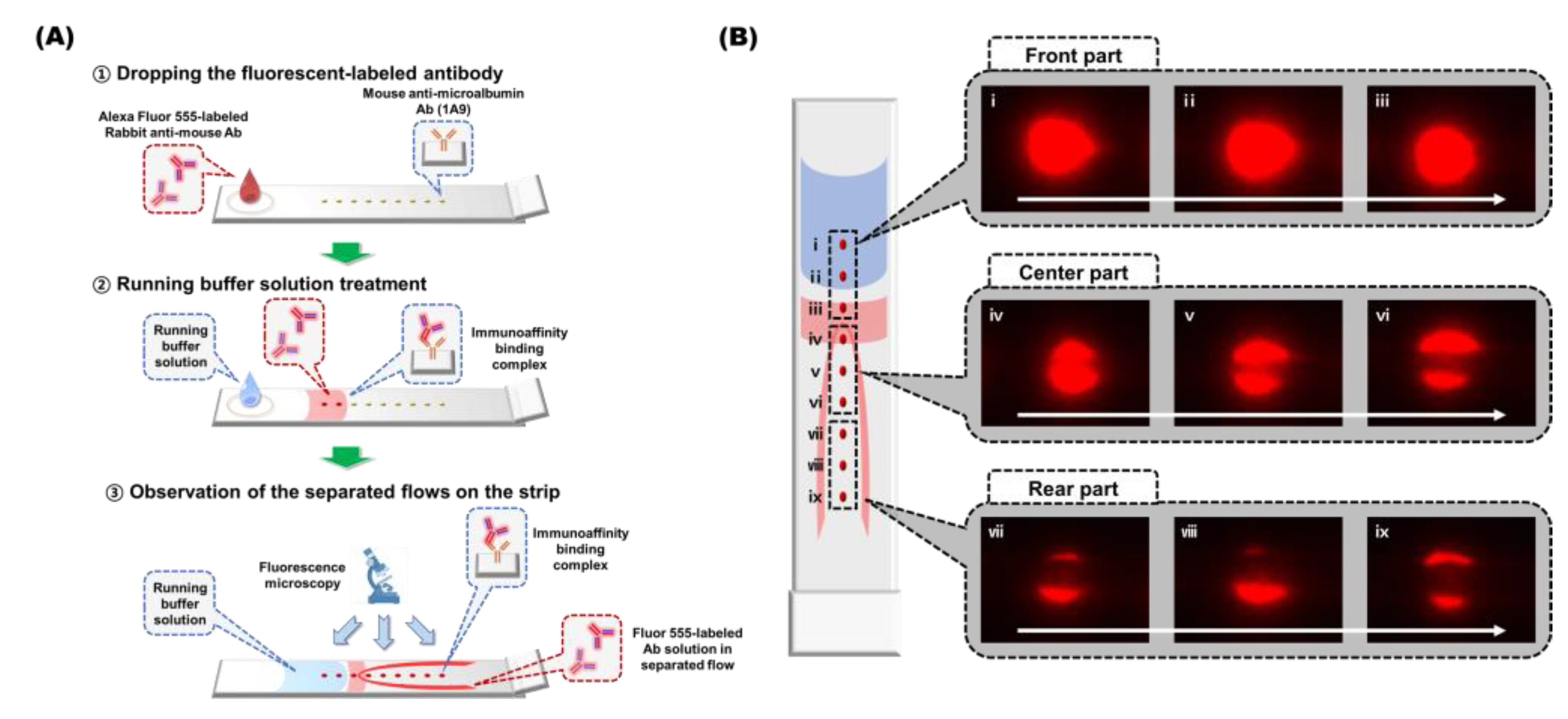Biosensors 10 00087 g003
