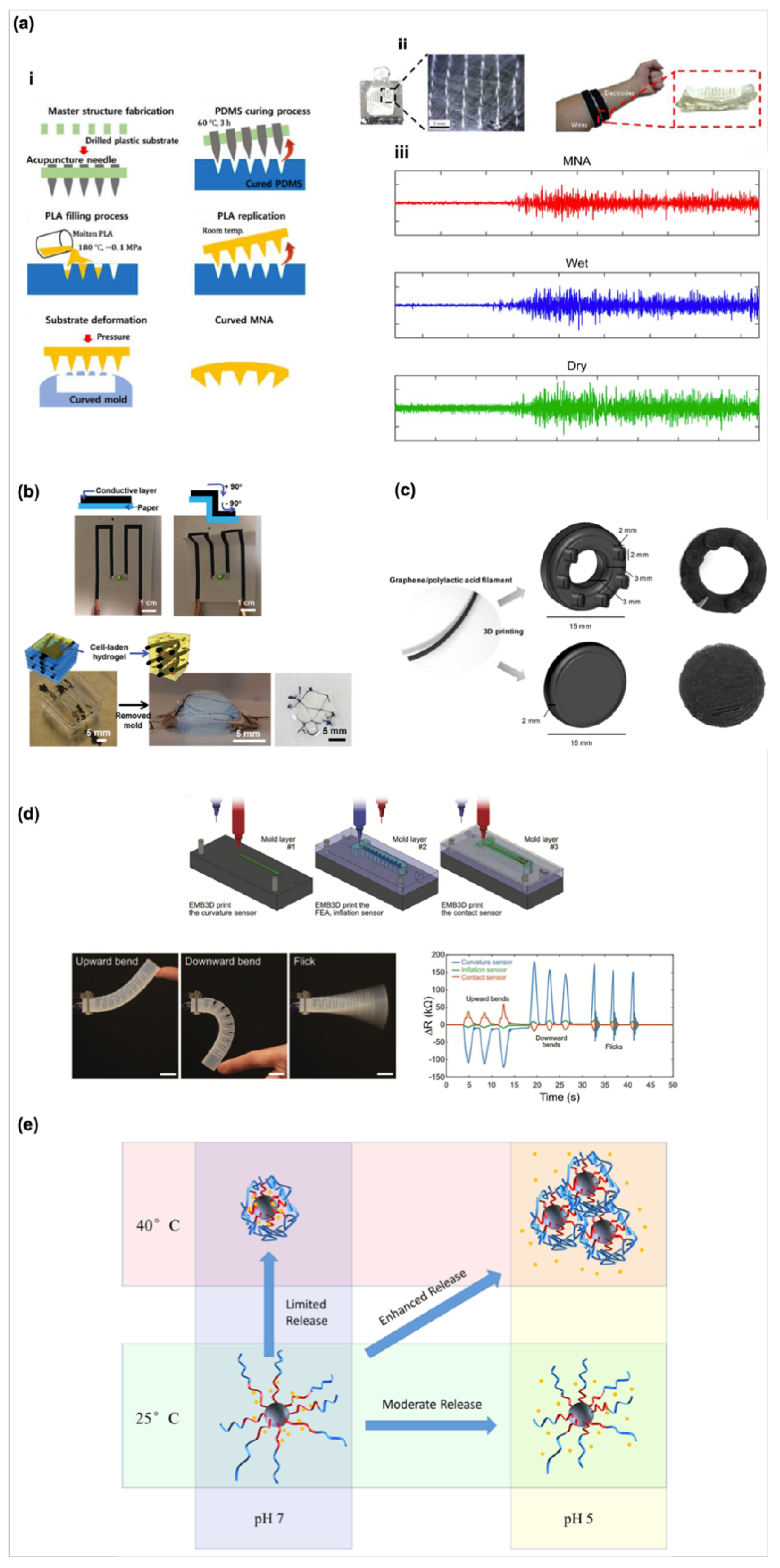Biosensors 10 00088 g001