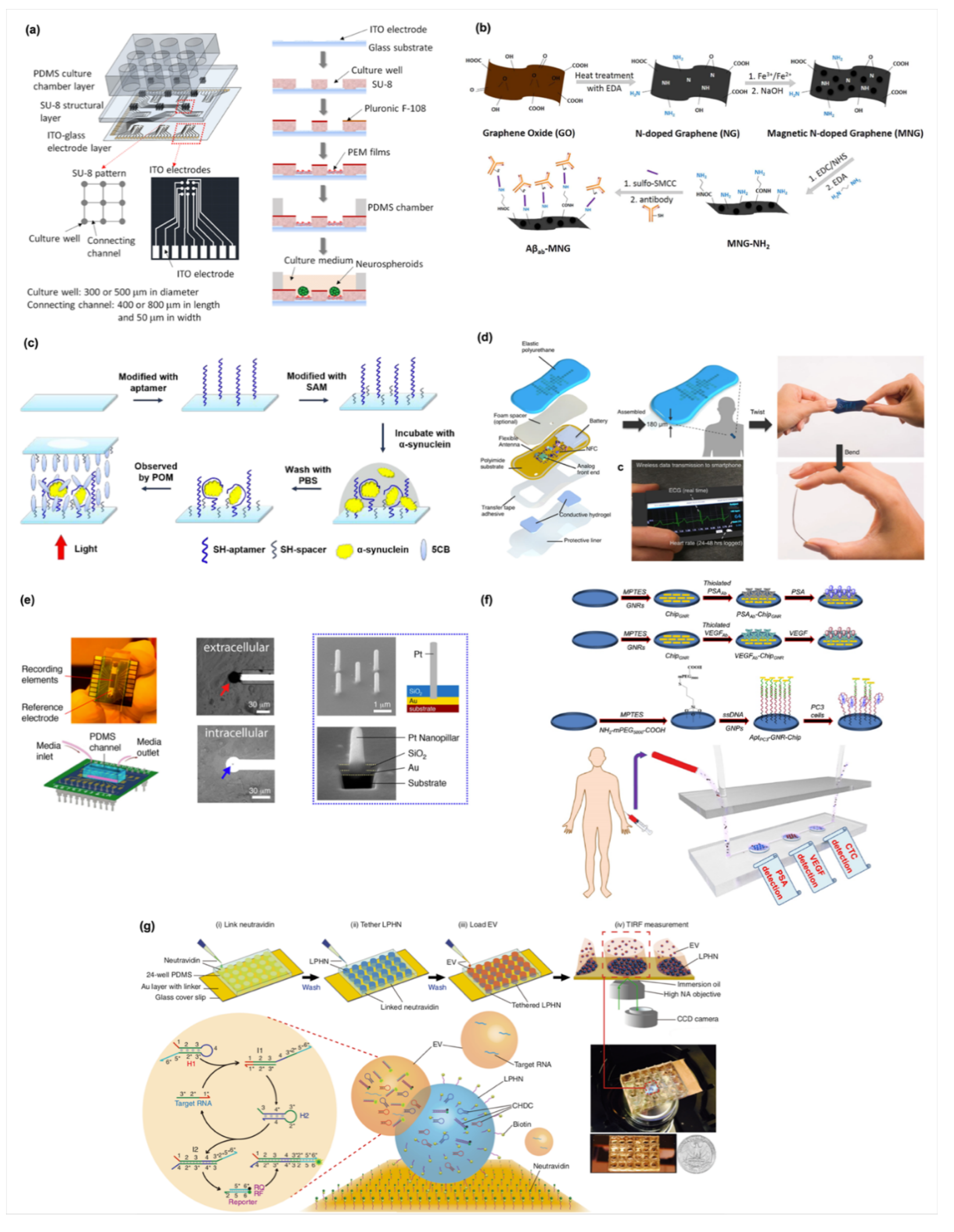 Biosensors 10 00088 g003