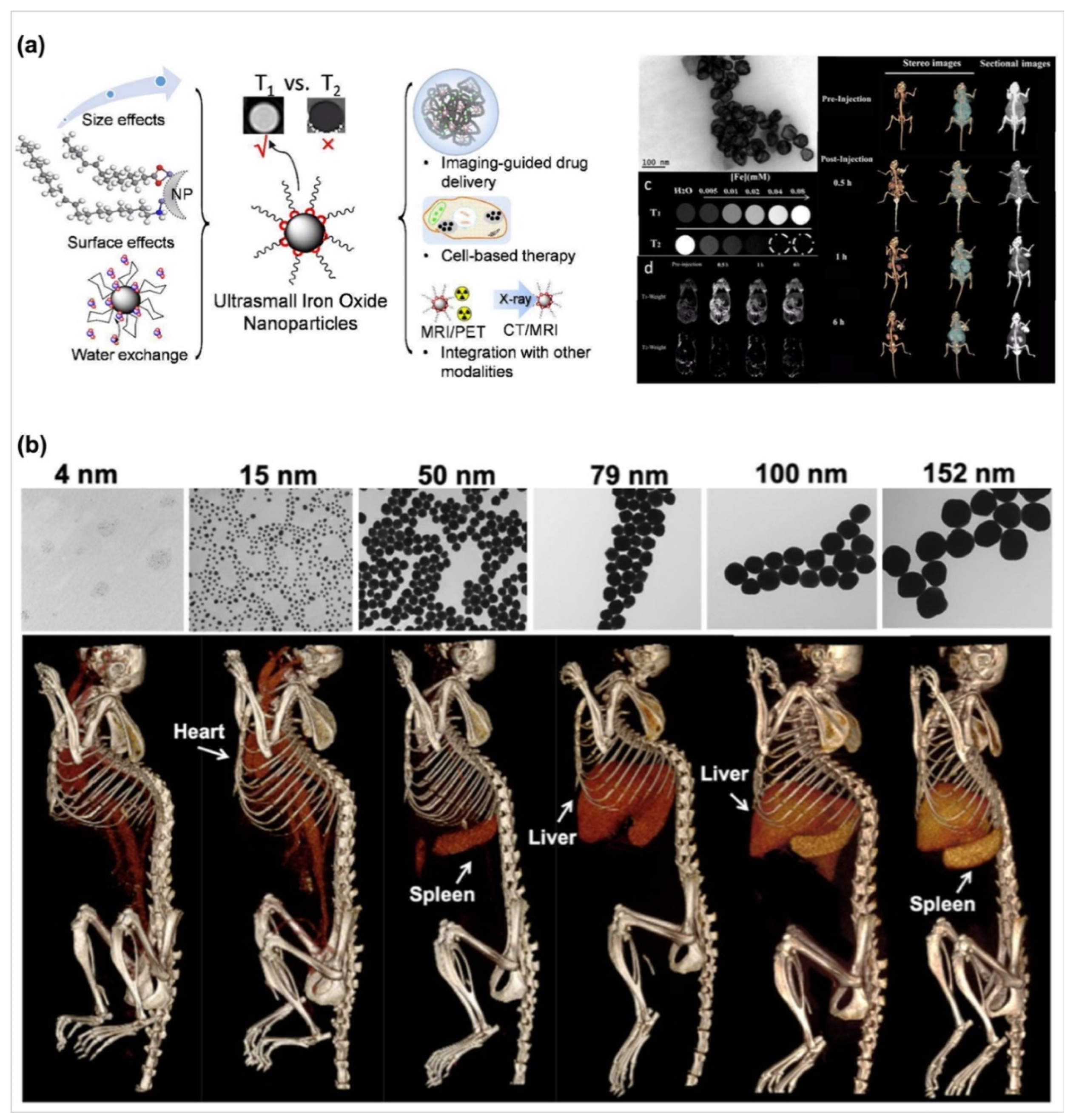 biosensors free full text the current trends of biosensors in tissue engineering html