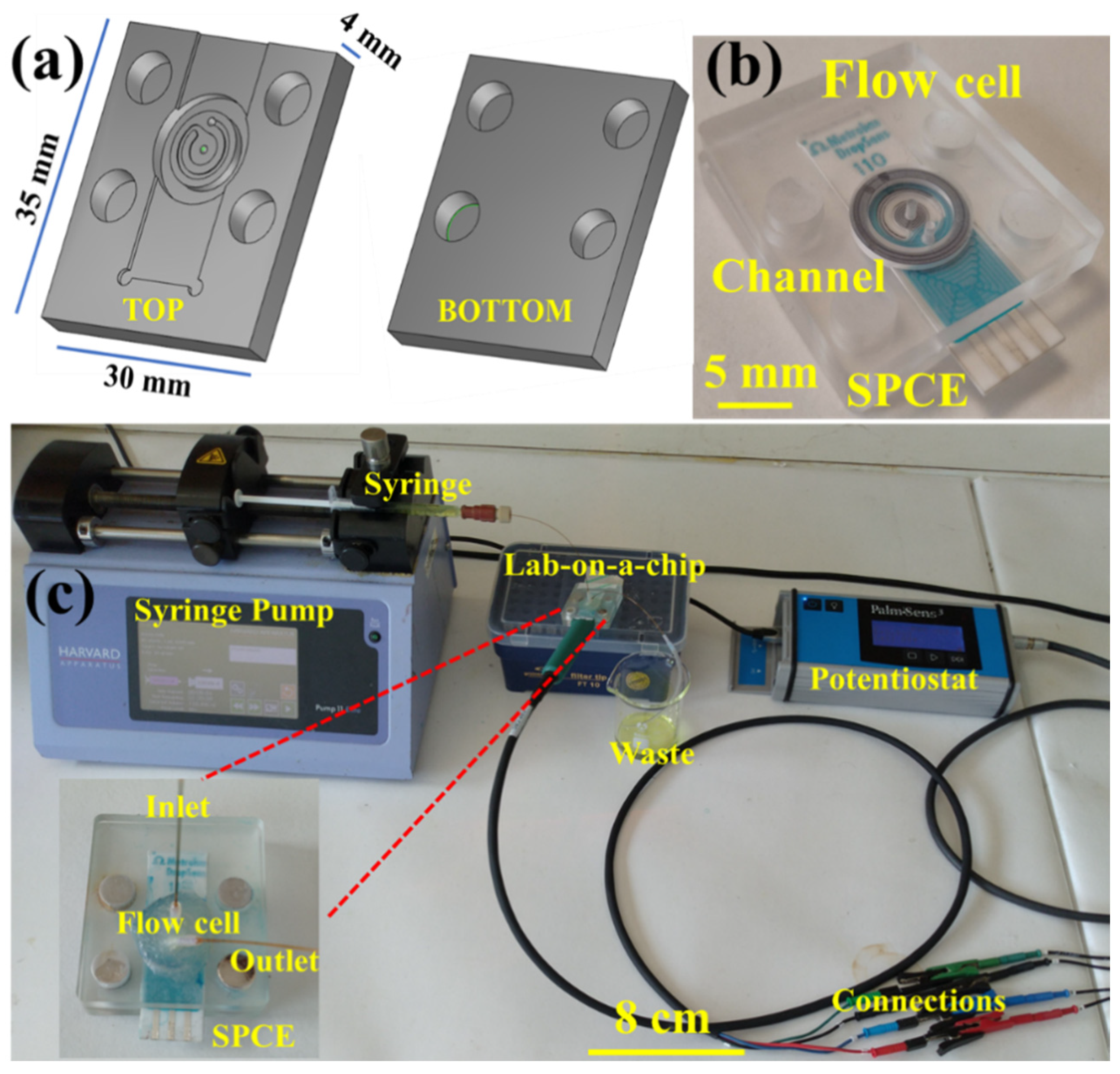 Biosensors 10 00091 g001
