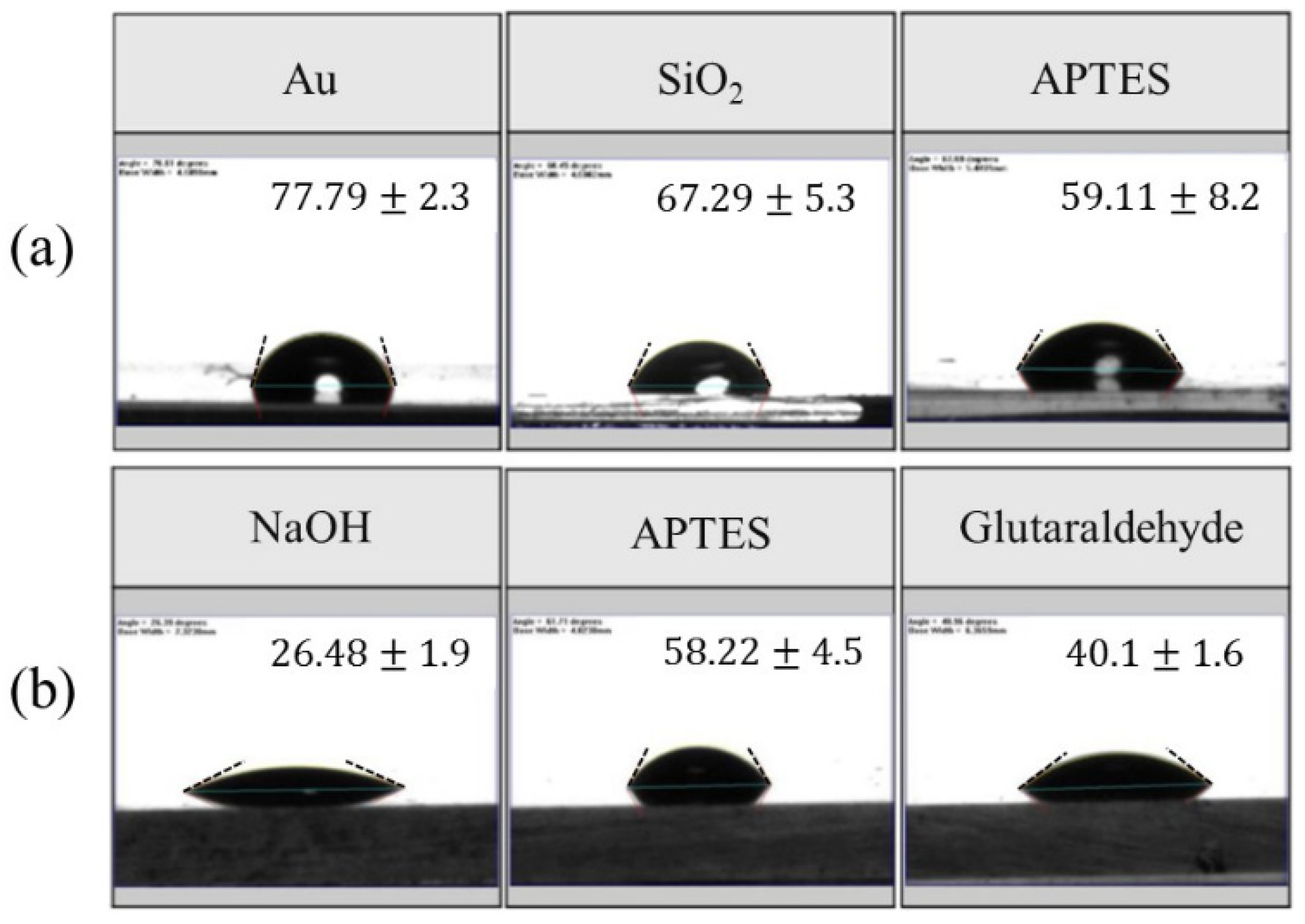 Biosensors 10 00092 g006 Biosensors 10 00092 g006