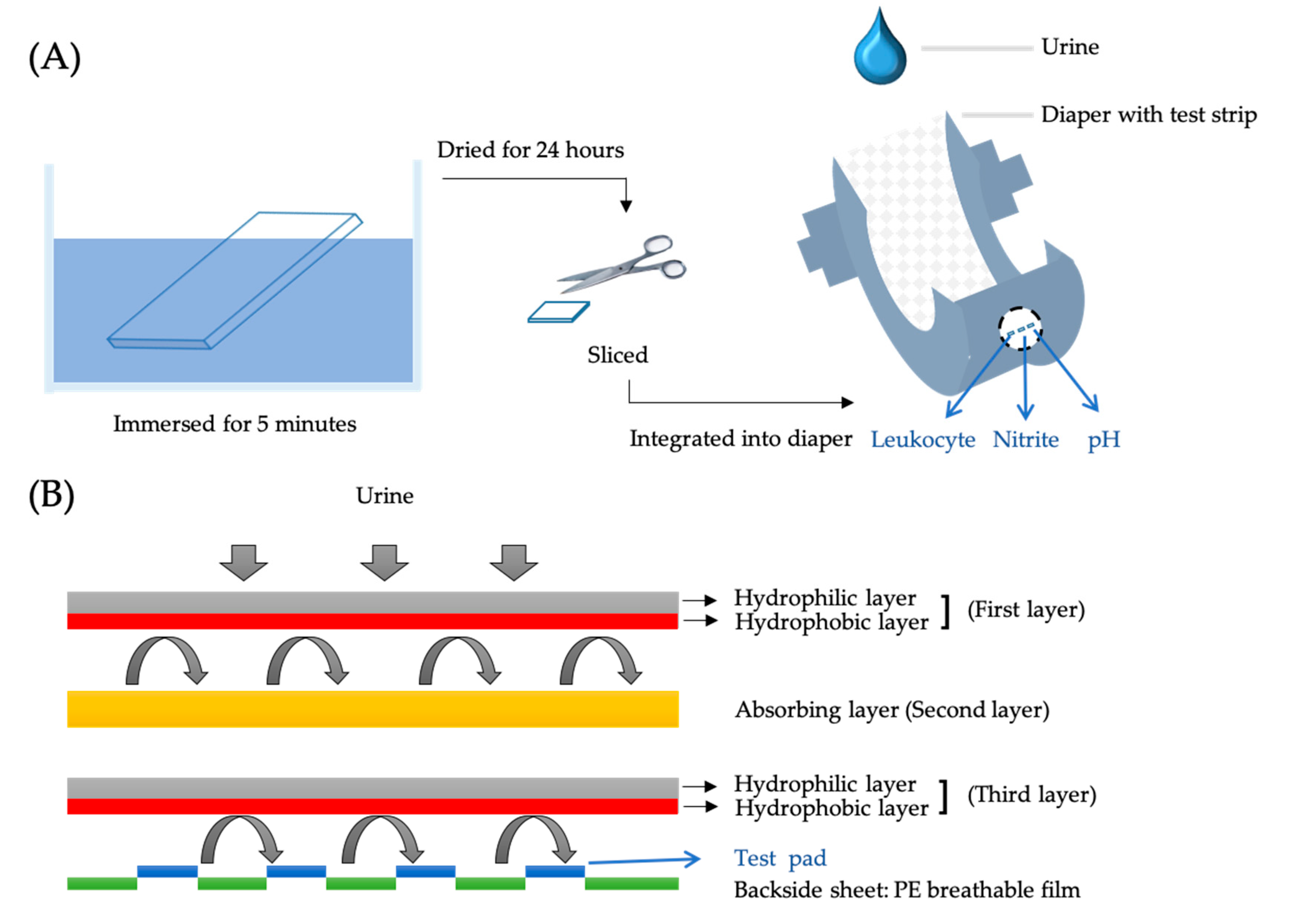 Biosensors 10 00094 g002