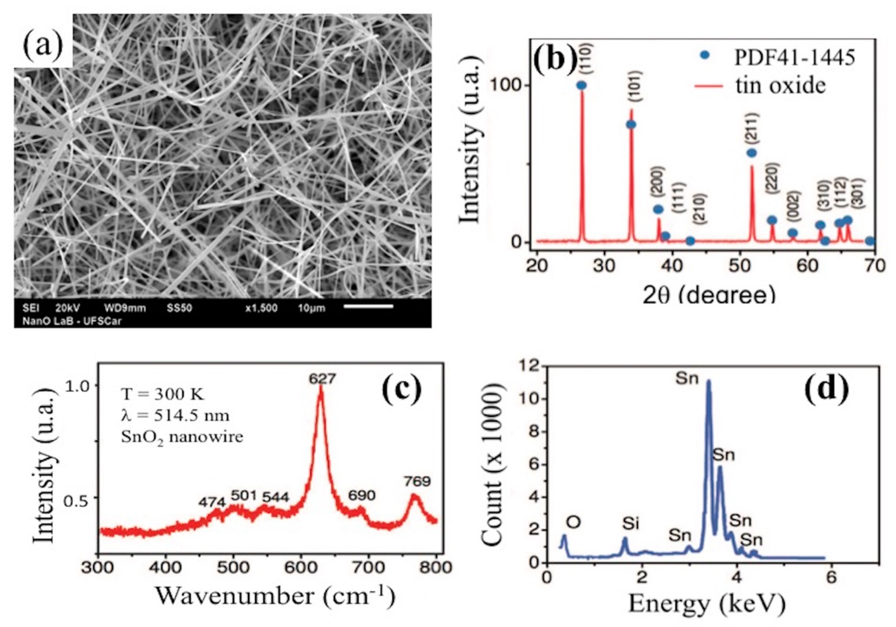Biosensors 10 00097 g002 Biosensors 10 00097 g002