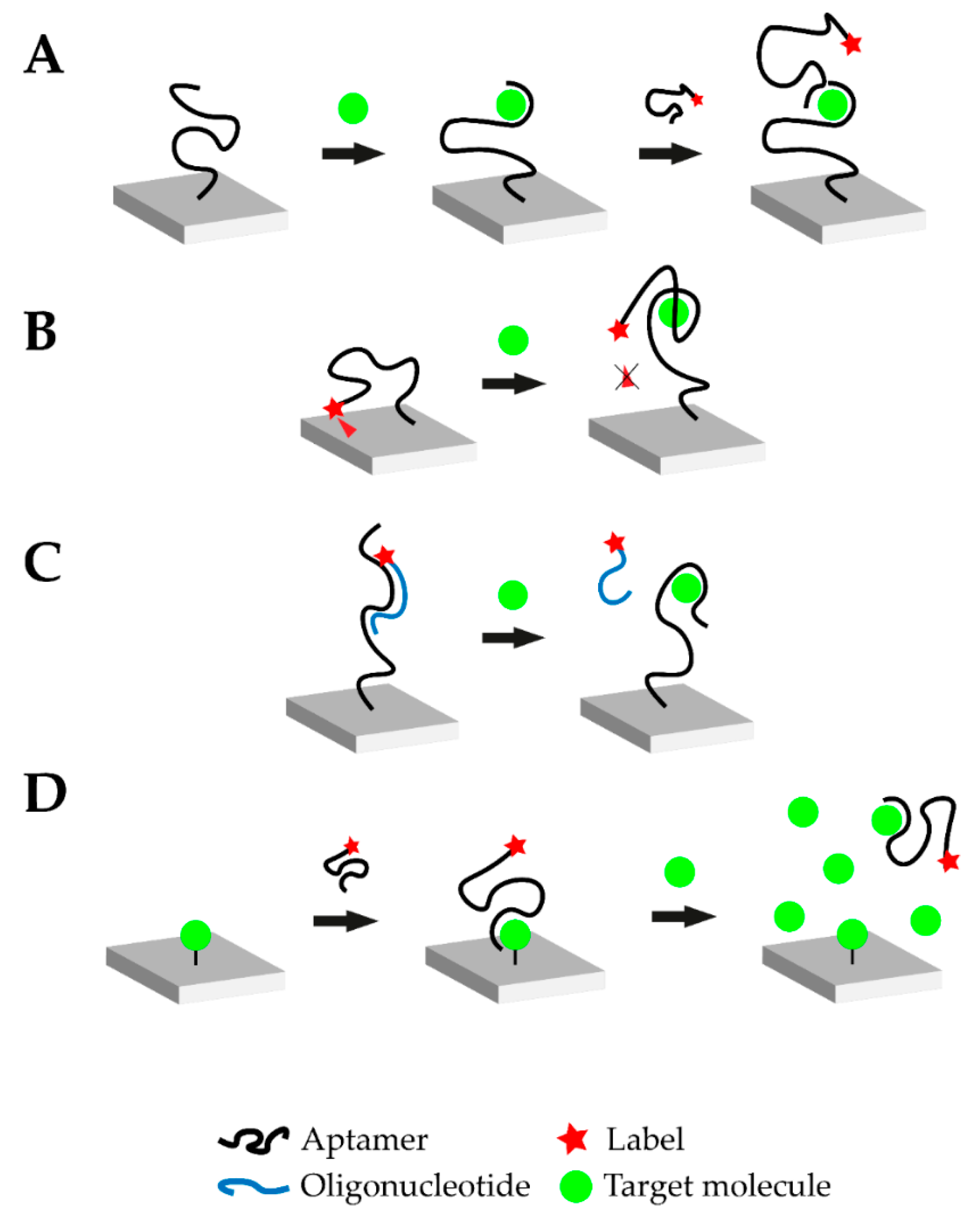 Biosensors  Free Full-Text  Aptasensors for Point-of-Care Within Sandwich Book Report Printable Template