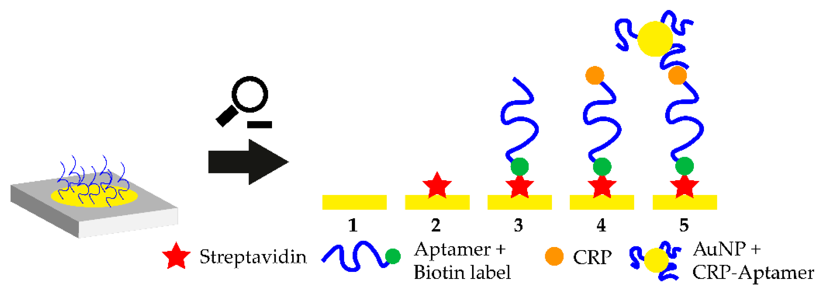 Biosensors 10 00108 g004 Biosensors 10 00108 g004