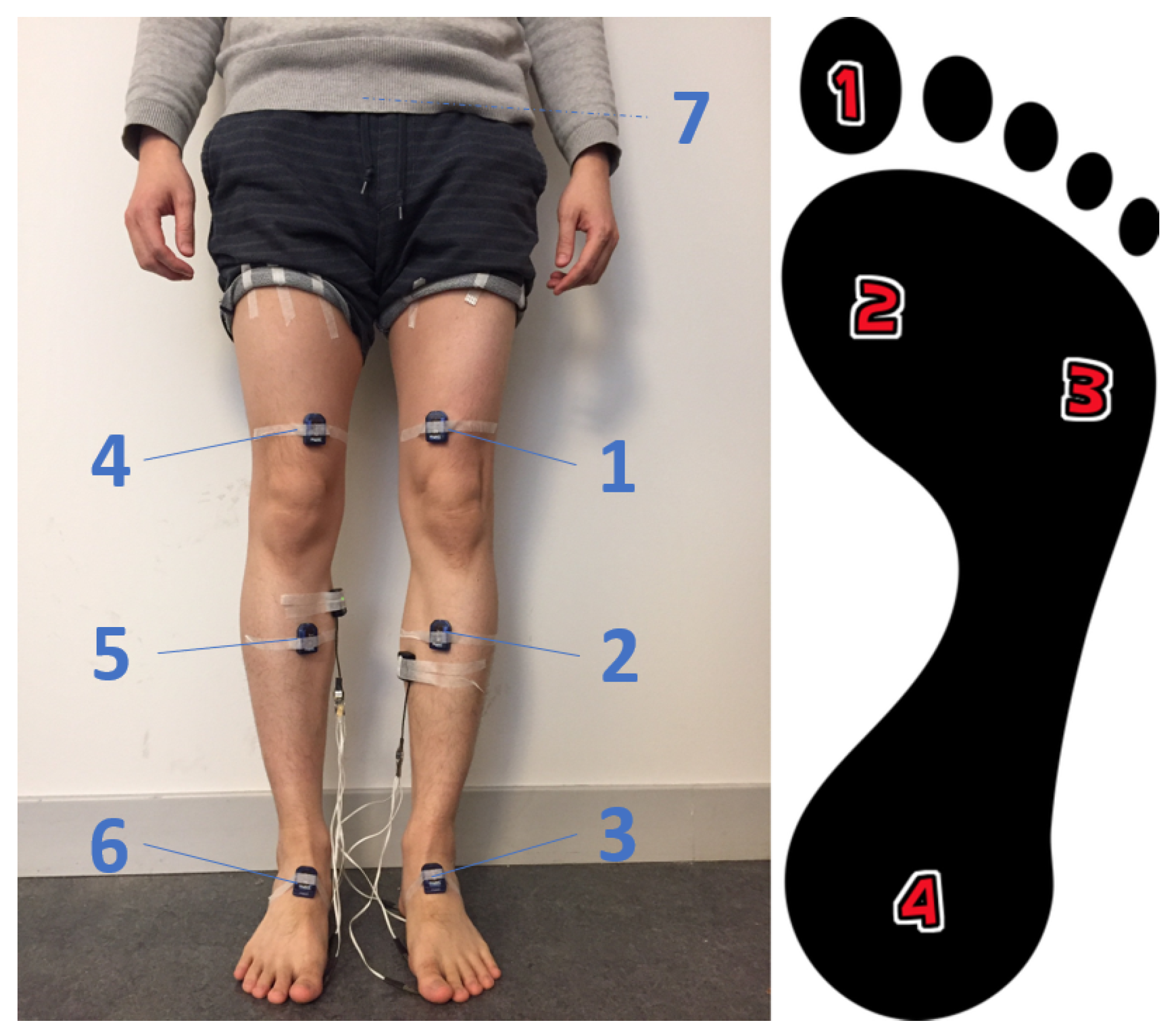 Biosensors 10 00109 g001