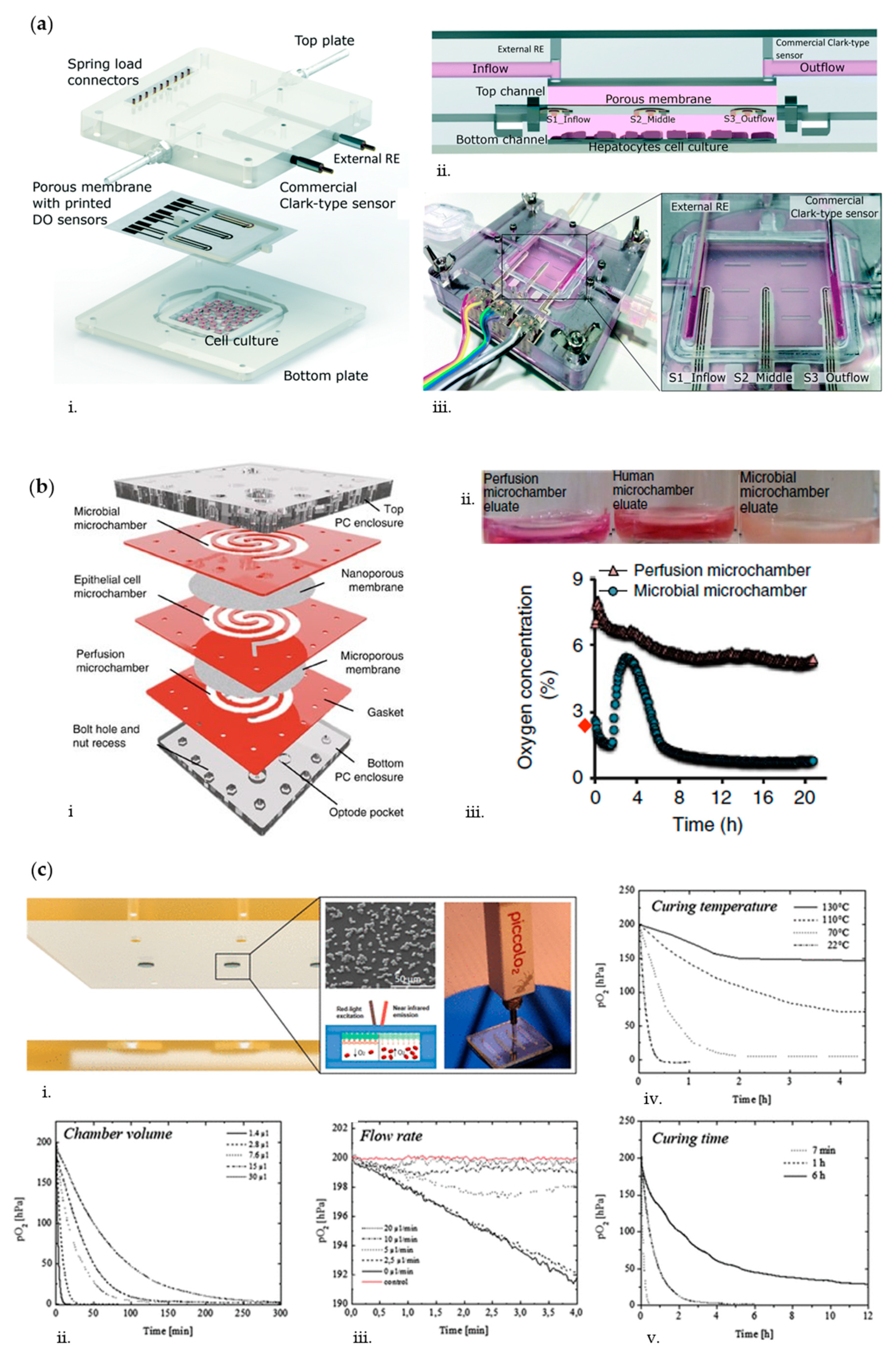 Biosensors 10 00110 g001