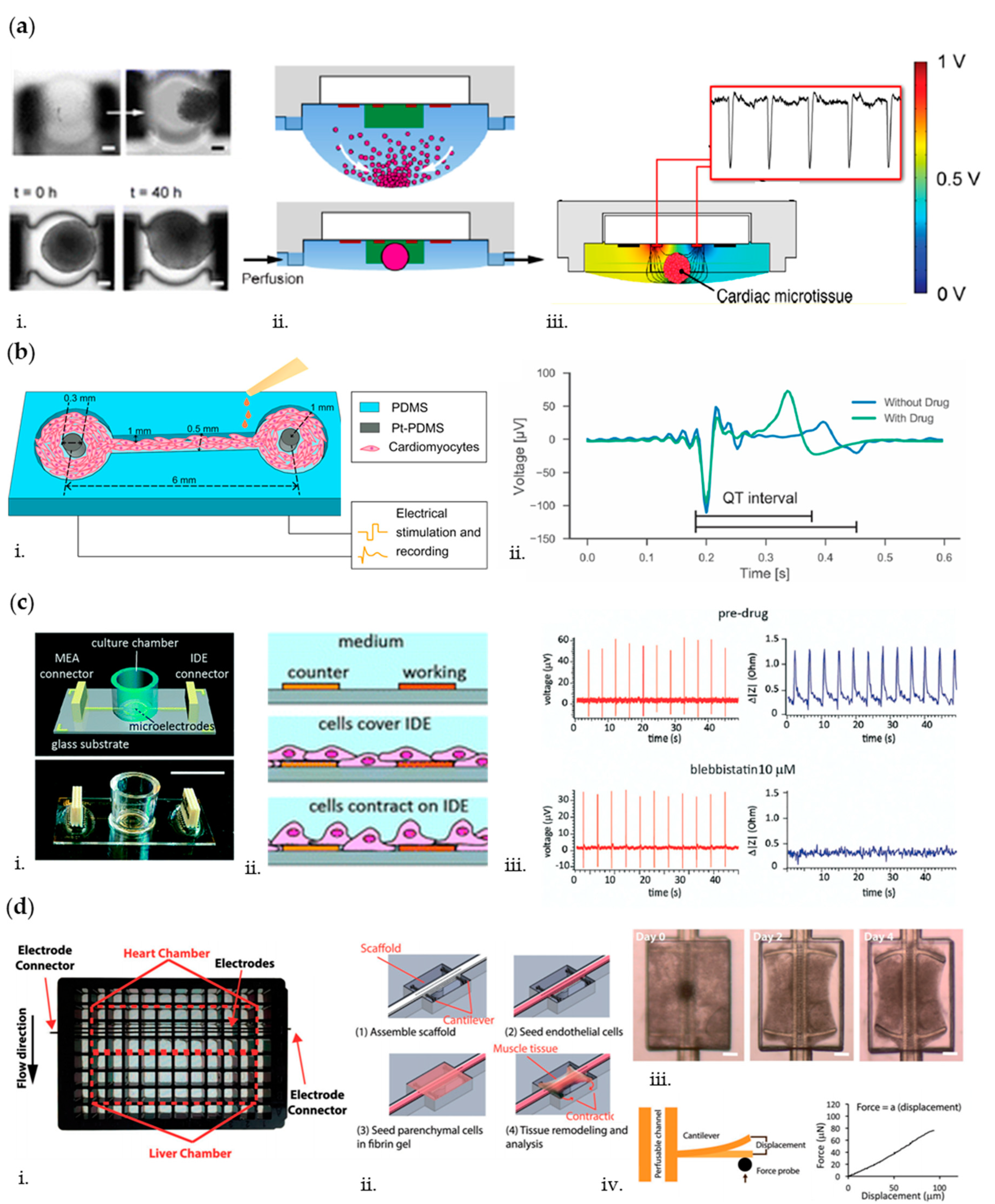 Biosensors 10 00110 g007