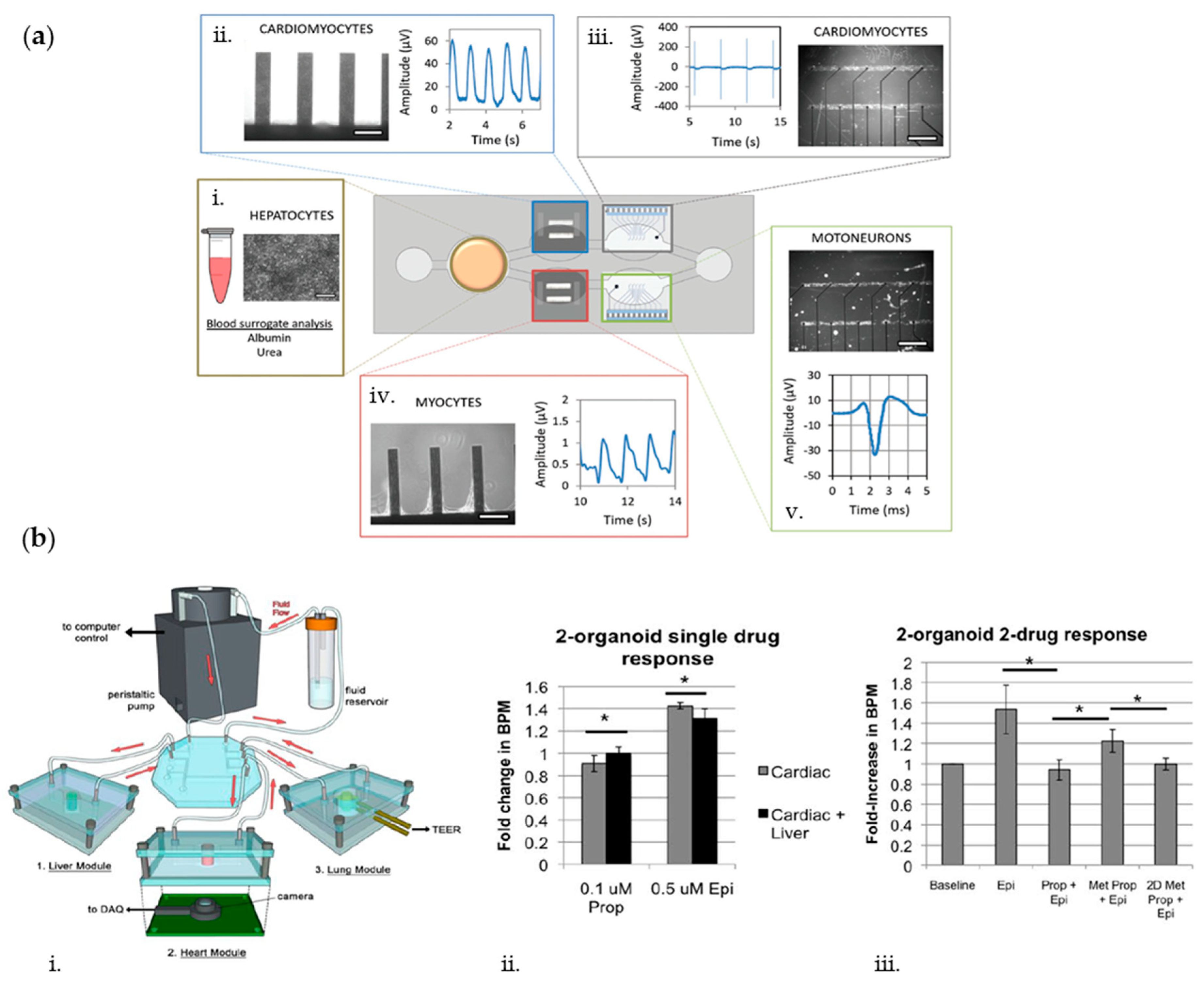 Biosensors 10 00110 g008