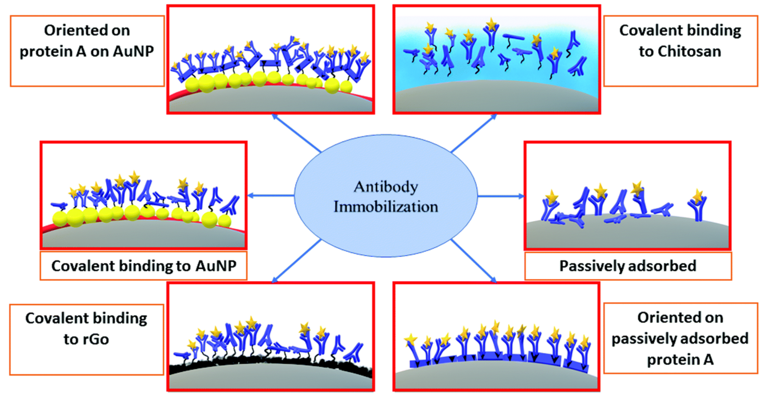 Biosensors 10 00115 g002