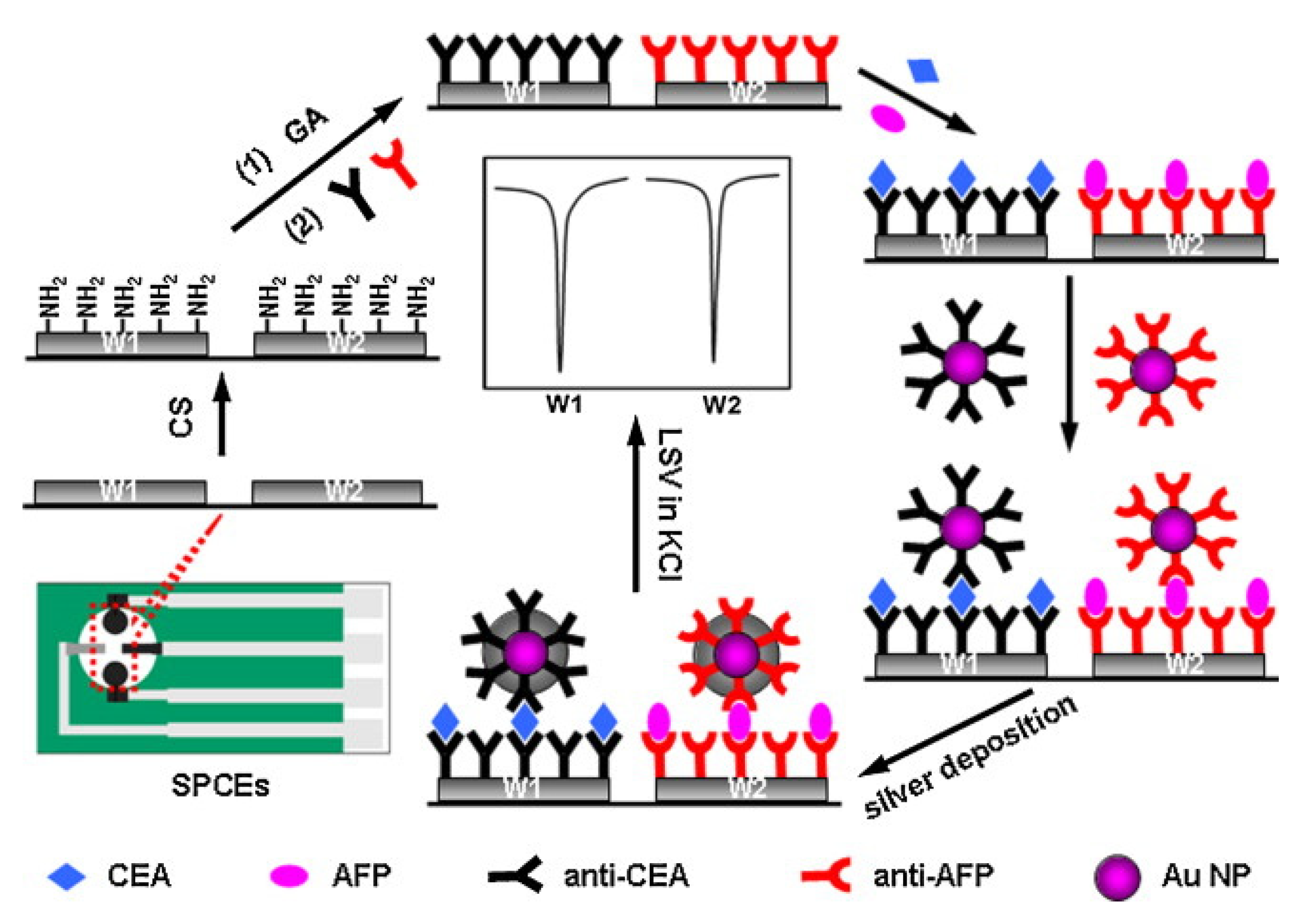 Biosensors 10 00115 g004