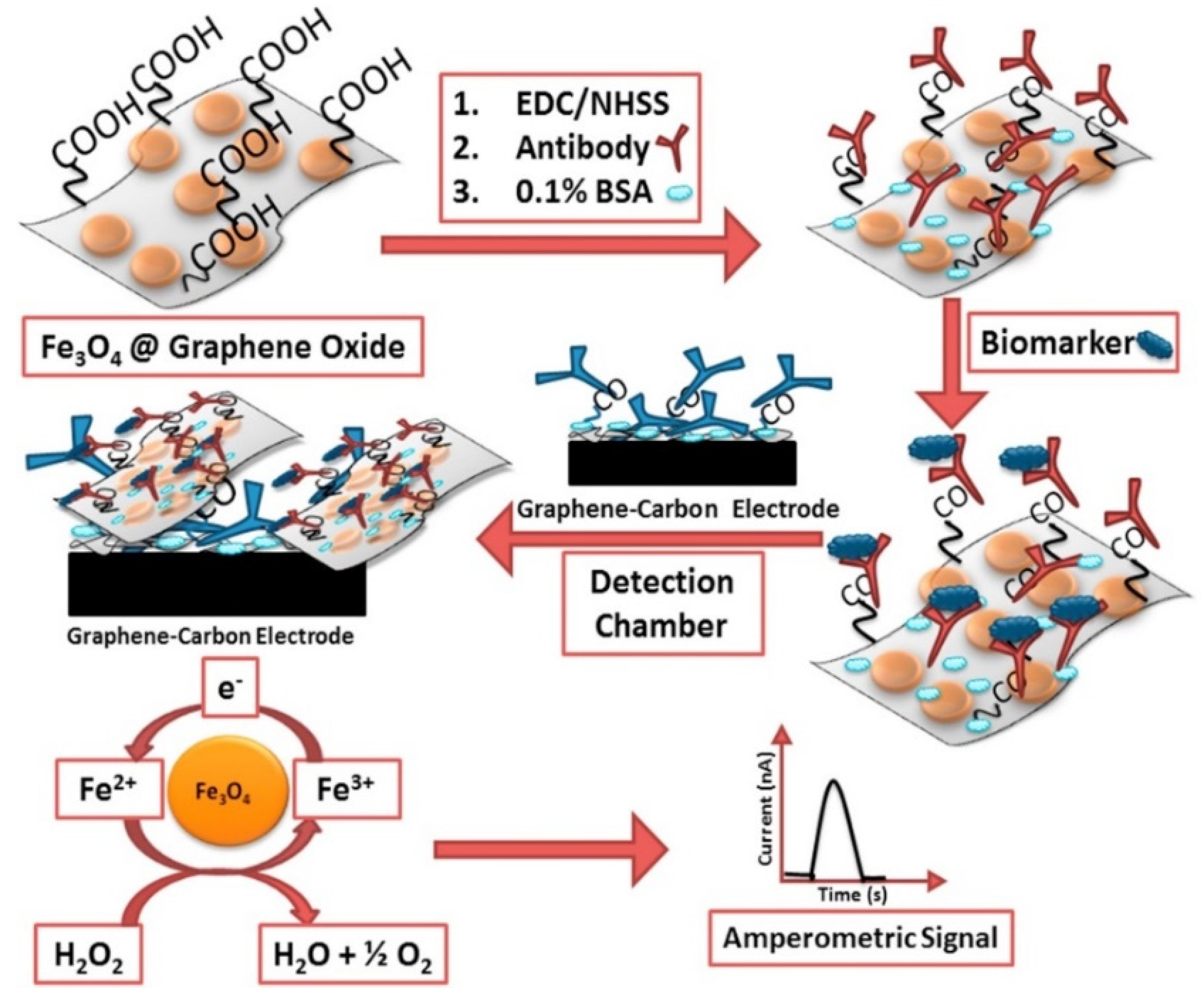 Biosensors 10 00115 g005