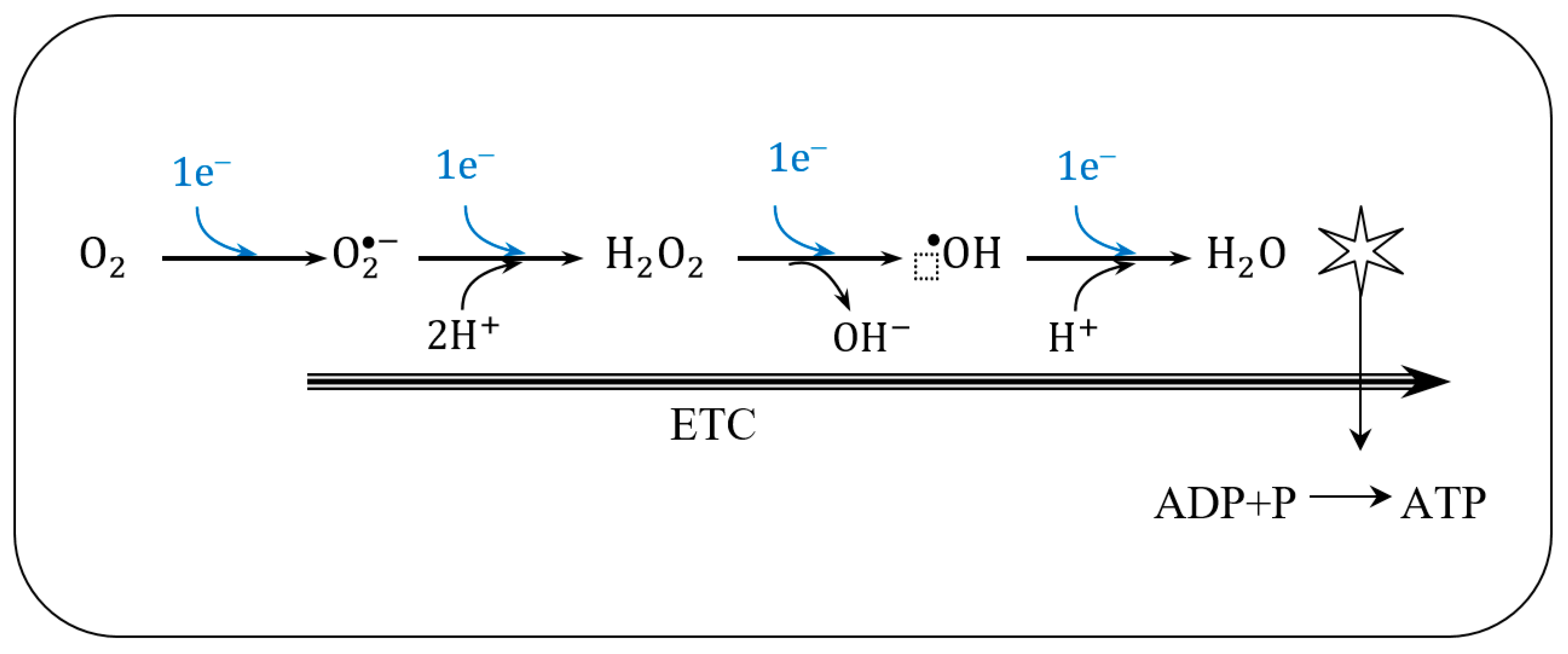 Biosensors 10 00121 g006