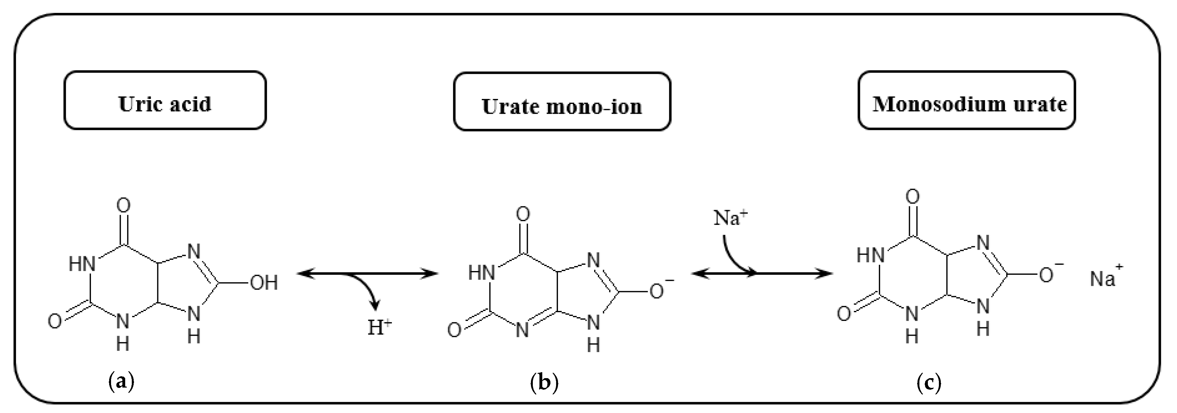 Biosensors 10 00121 g012